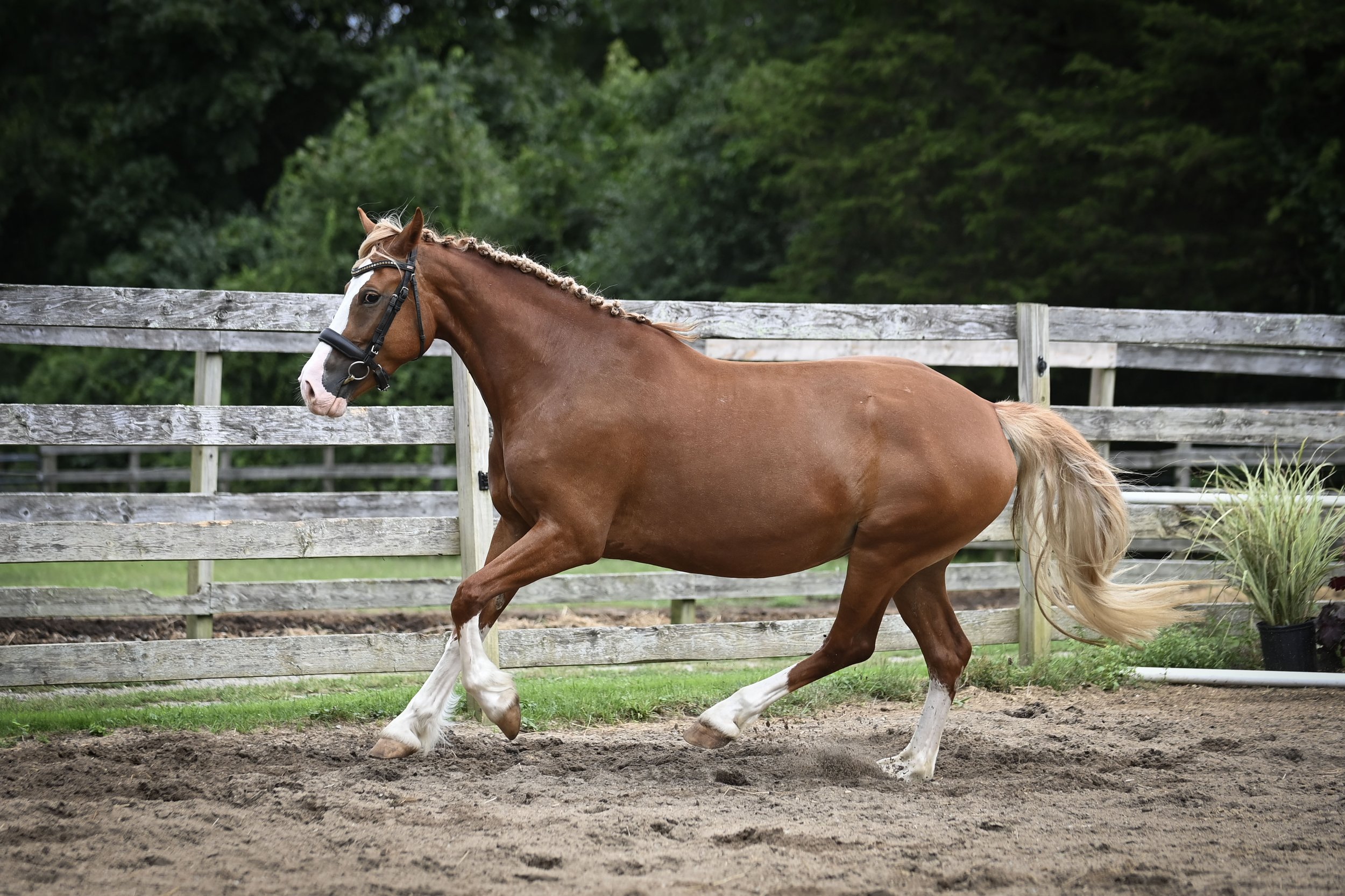 AMY_3670.jpg