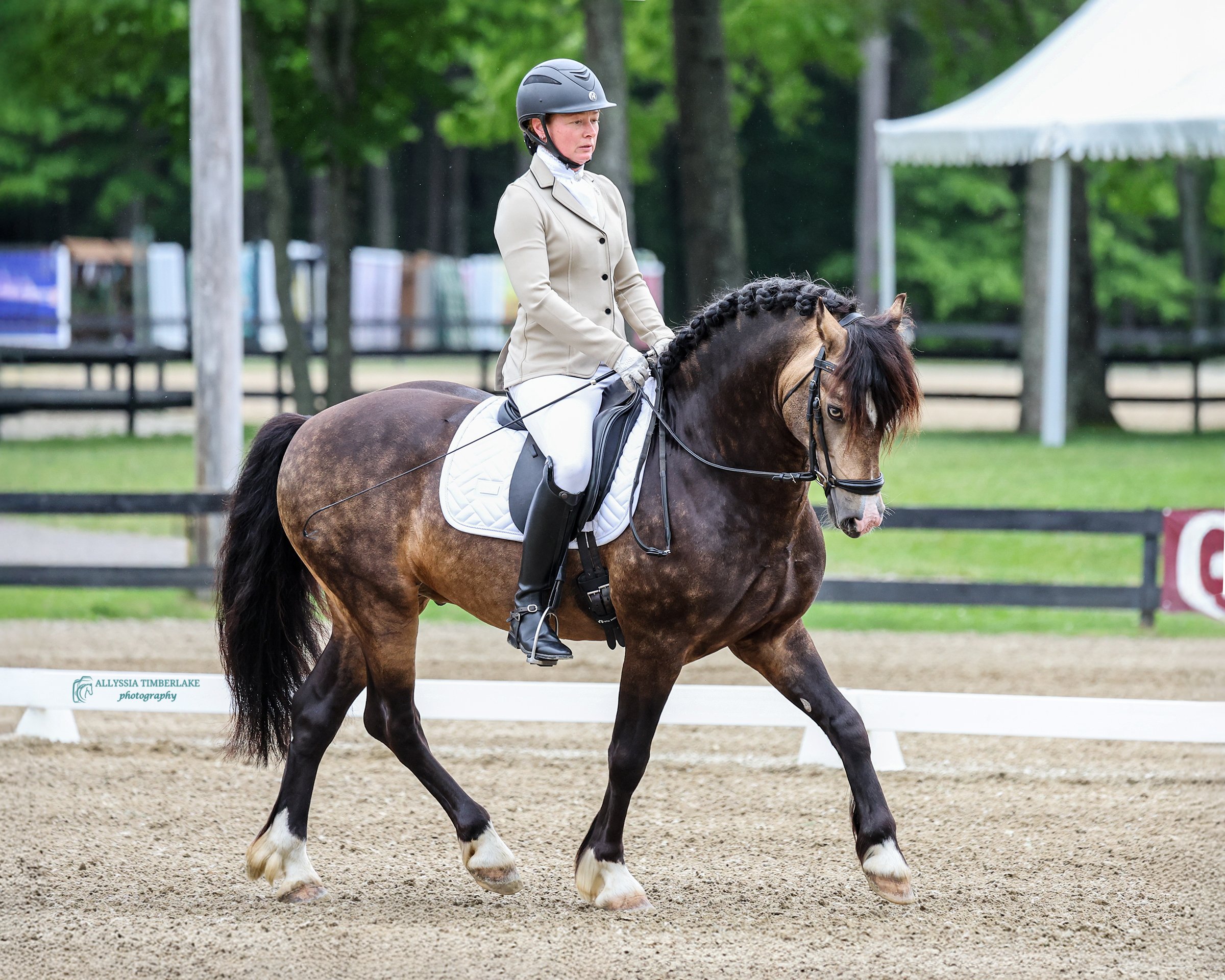 5NDS4642.copyrightAllyssiaTimberlakePhotography.PersonalUseLicenseFINAL.jpg