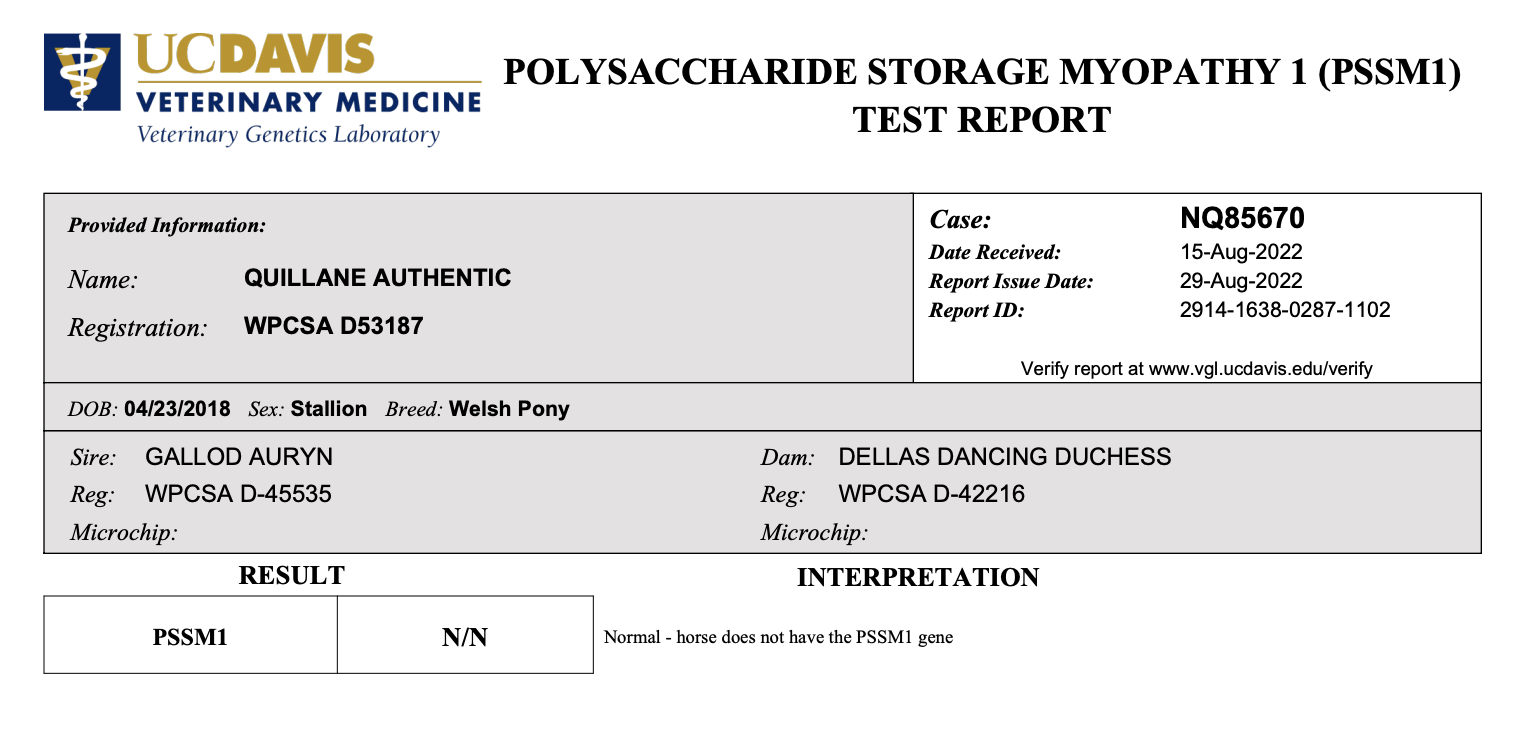 Screen Shot 2023-03-01 at 9.59.36 AM.png