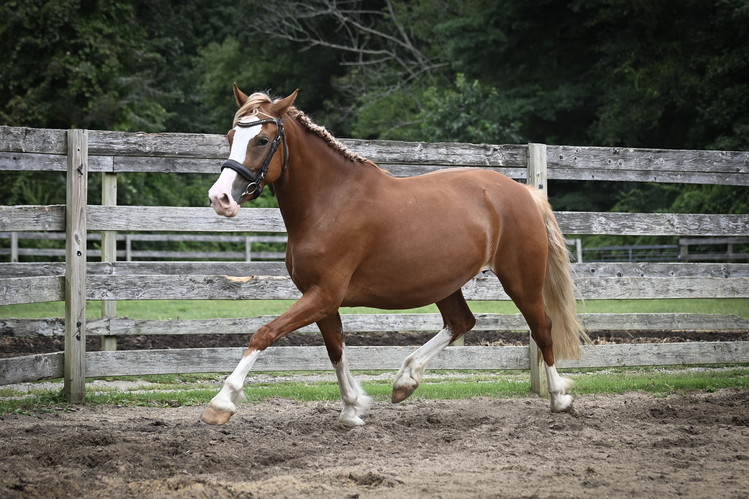 AMY_3678.jpg