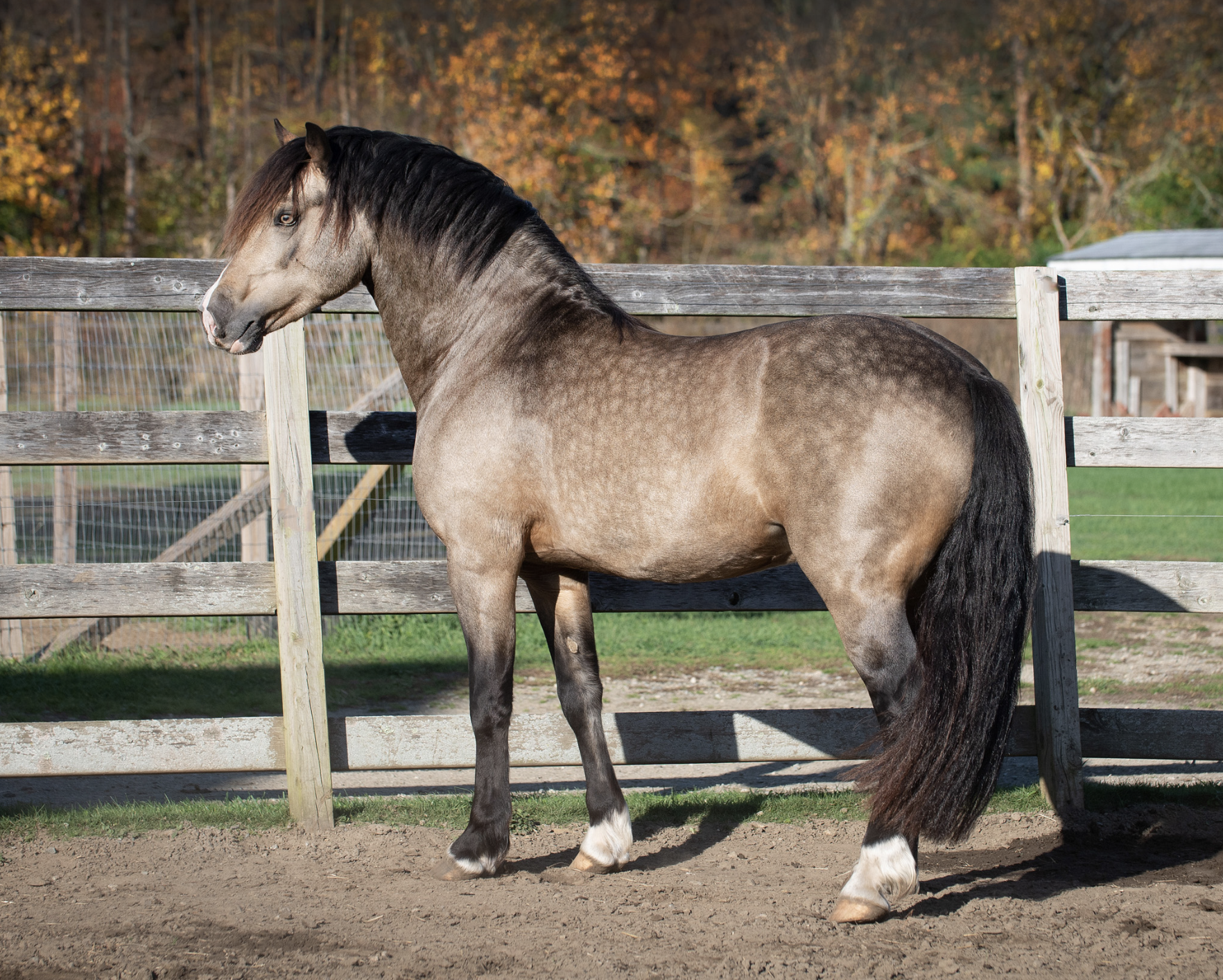 Screen Shot 2023-10-28 at 11.11.16 AM.png