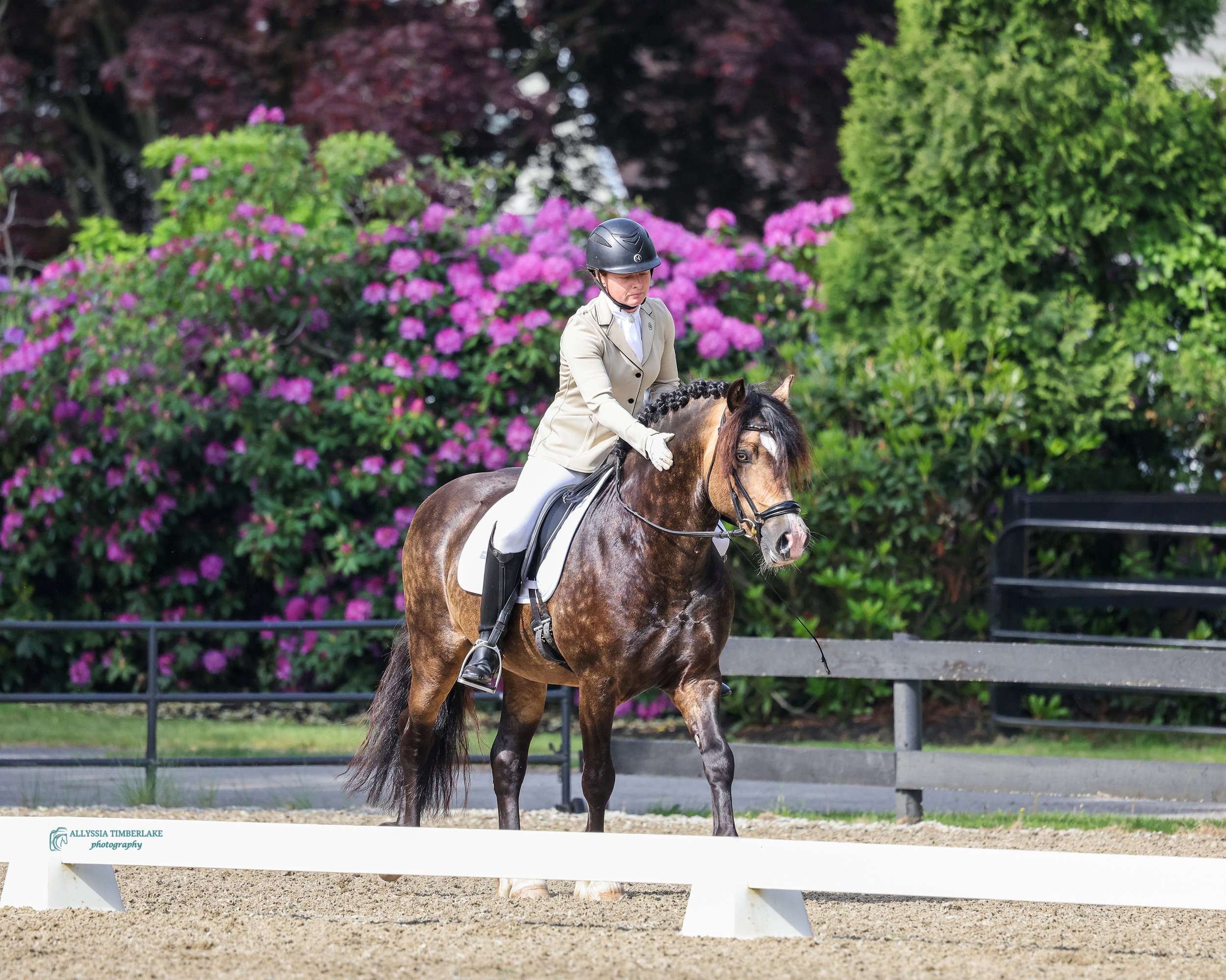 5NDA0581.copyrightAllyssiaTimberlakePhotography.PersonalUseLicenseFINAL.jpg