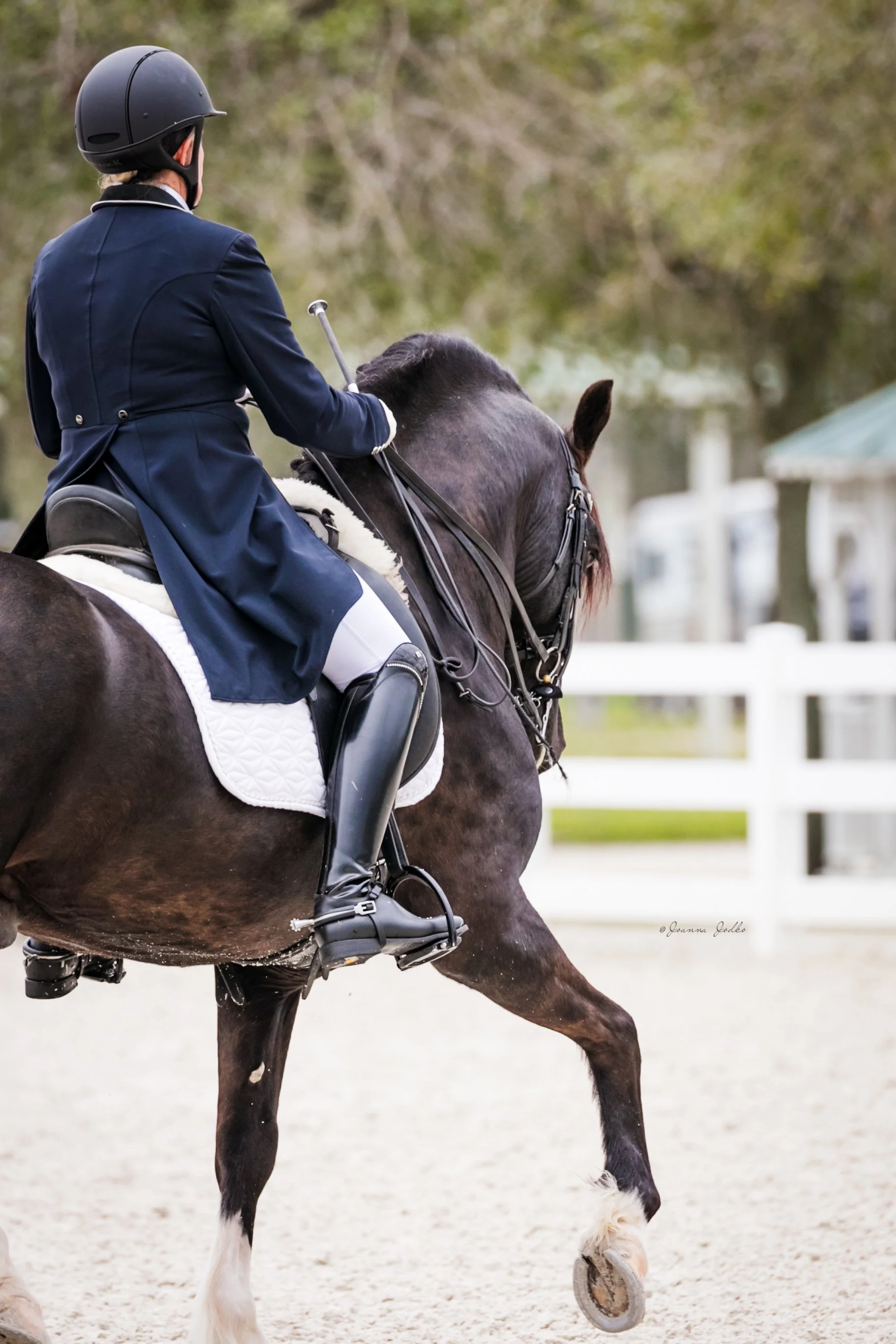 GCO011924-3022 High Res.jpeg