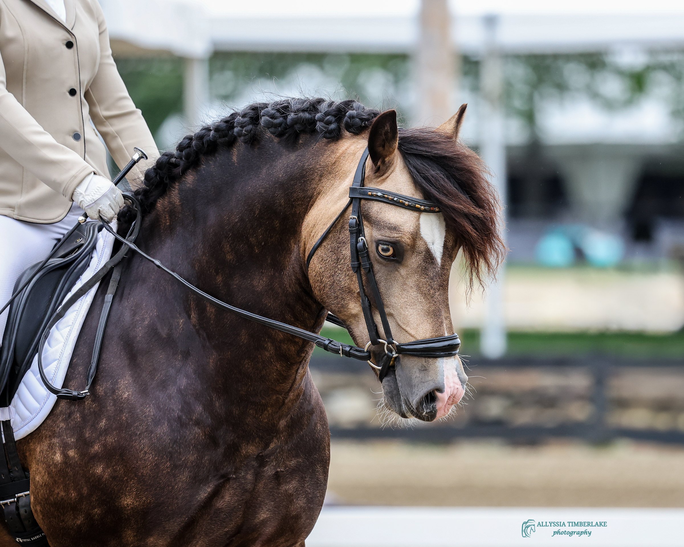 5NDS4660.copyrightAllyssiaTimberlakePhotography.PersonalUseLicenseFINAL.jpg