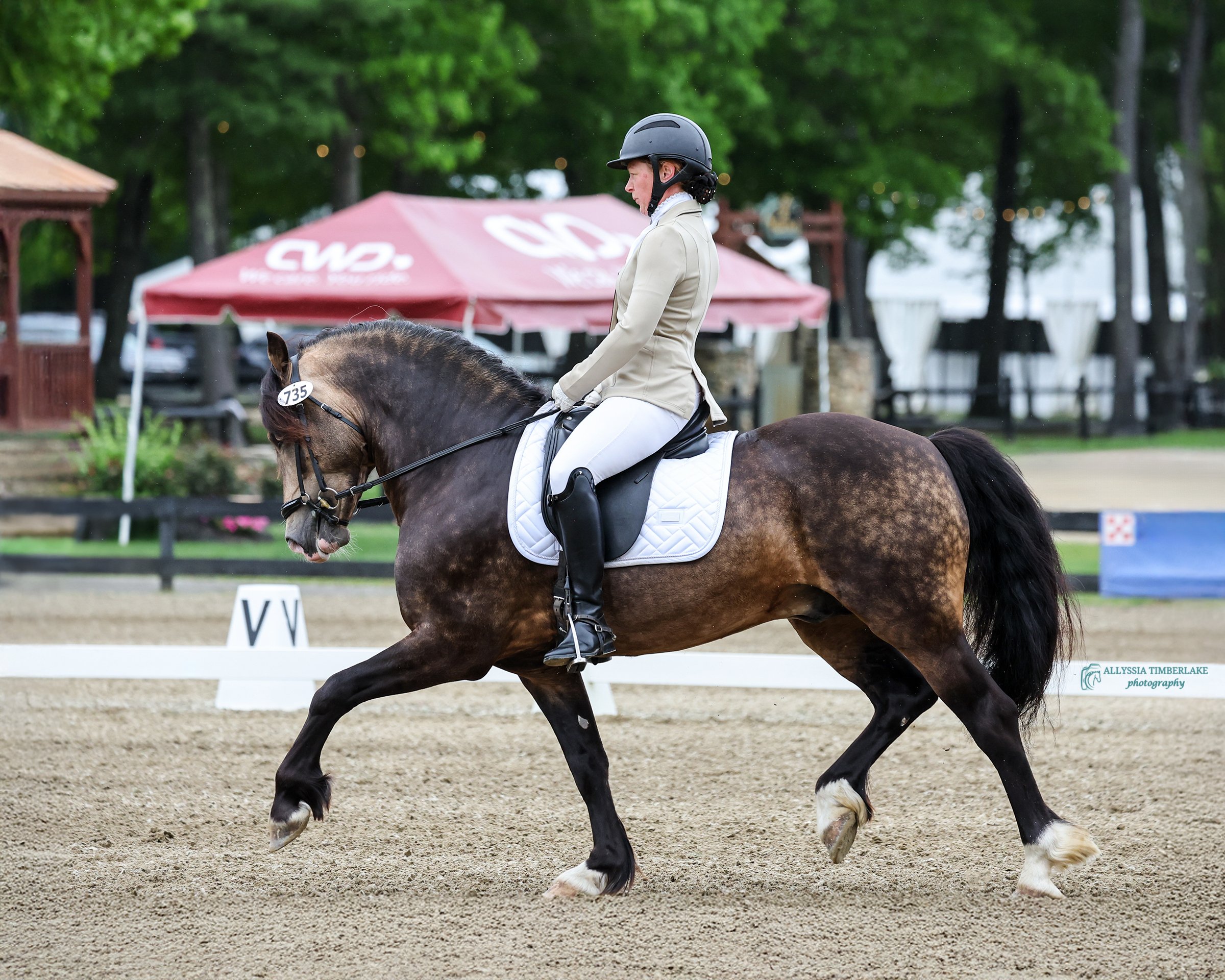 5NDS4658.copyrightAllyssiaTimberlakePhotography.PersonalUseLicenseFINAL.jpg