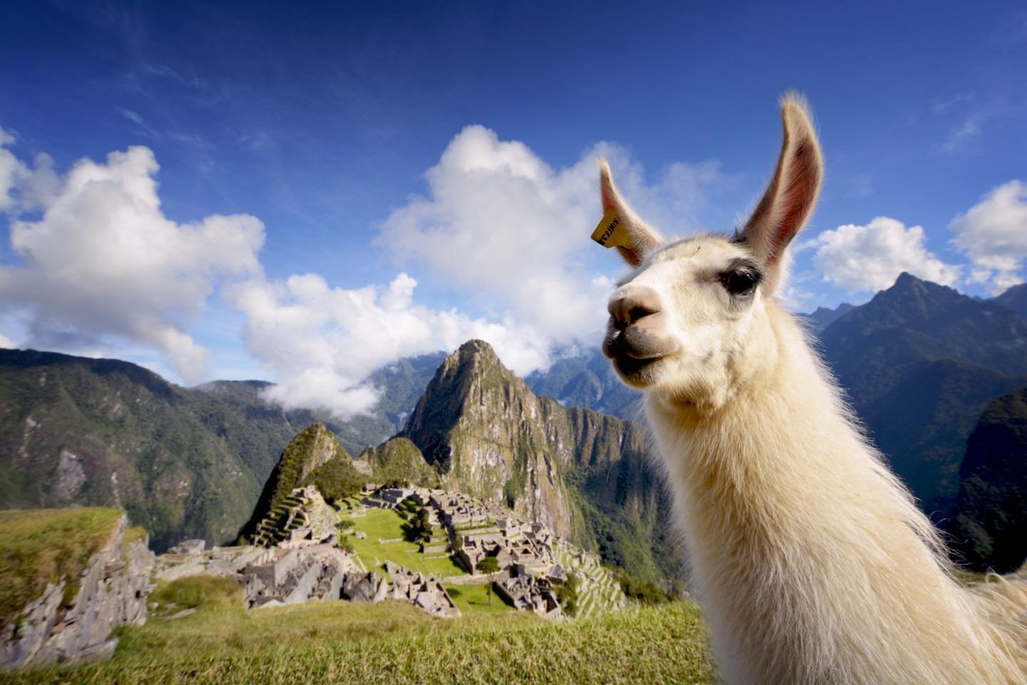 Looking for ideas on where to travel during the December holidays? Consider Peru! I have the most amazing itinerary prepared for a family of five to enjoy the Sacred Valley, Cusco, and Machu Picchu! Full of fun adventure!culture, art, horseback, hiki