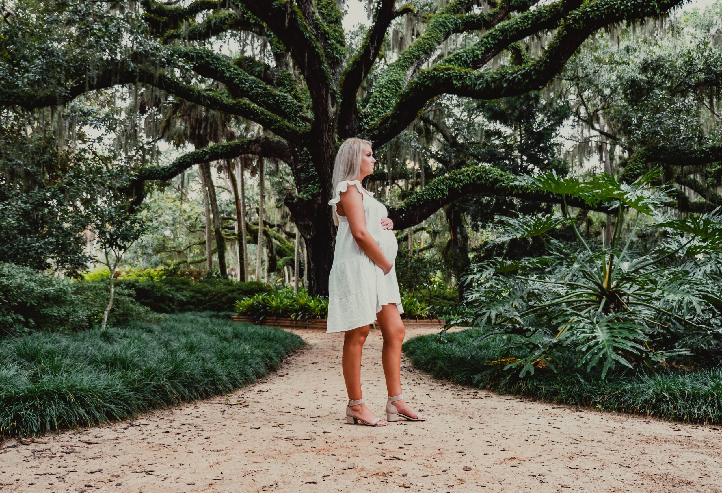 Ashlee Maternity photos 