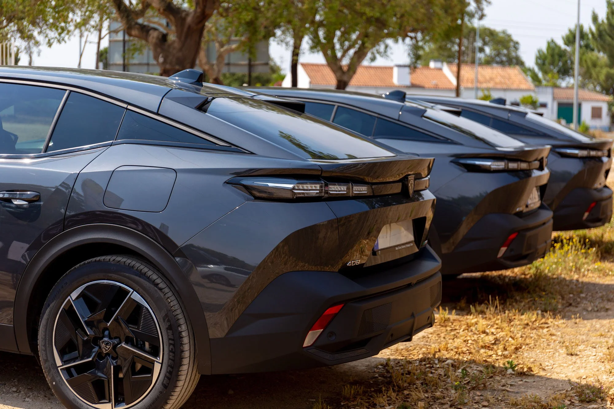 jfclt182-20230520-0005 copy.jpg