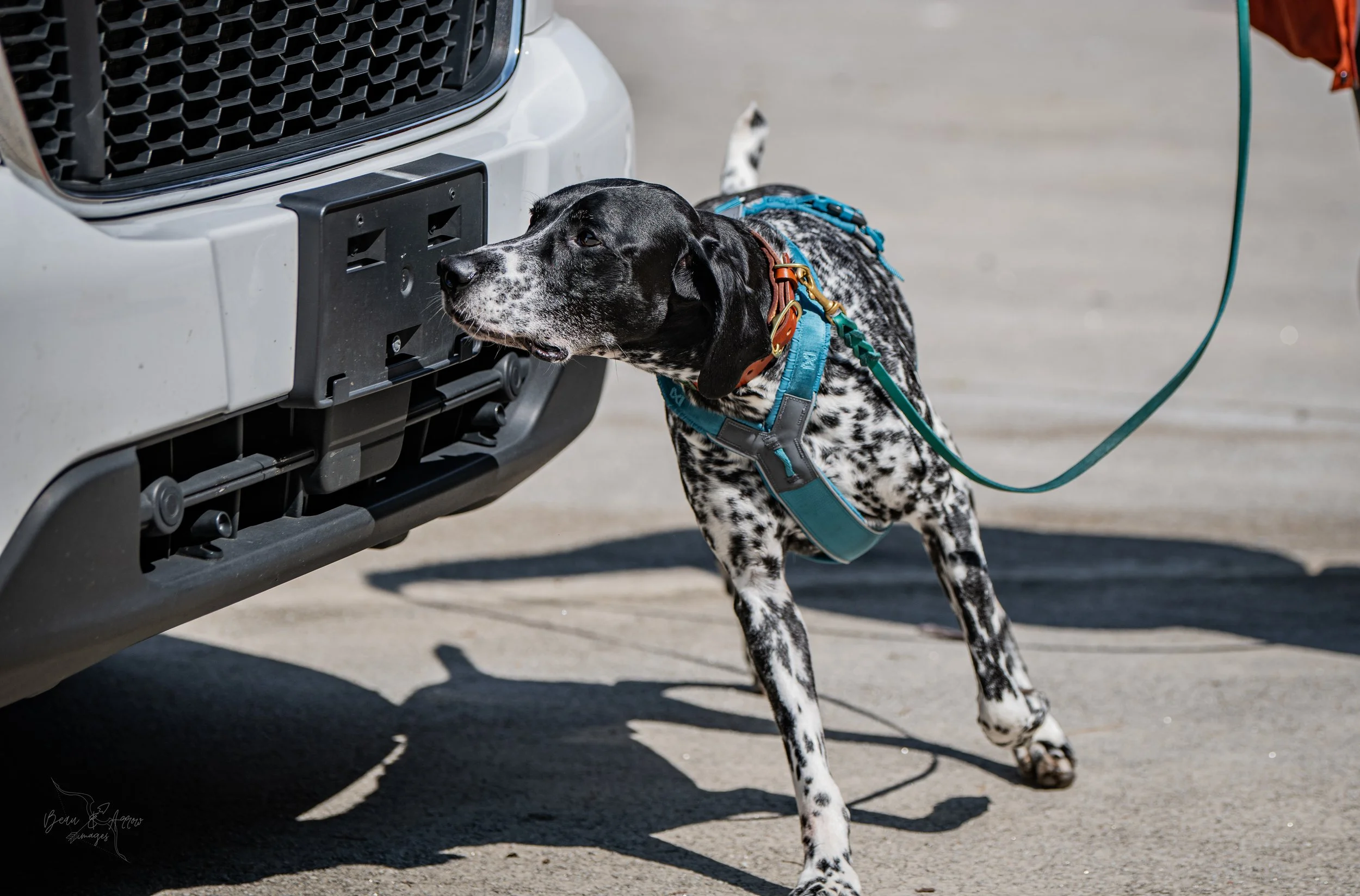 Building Value for Odor: Part 3 — Quality Over Quantity