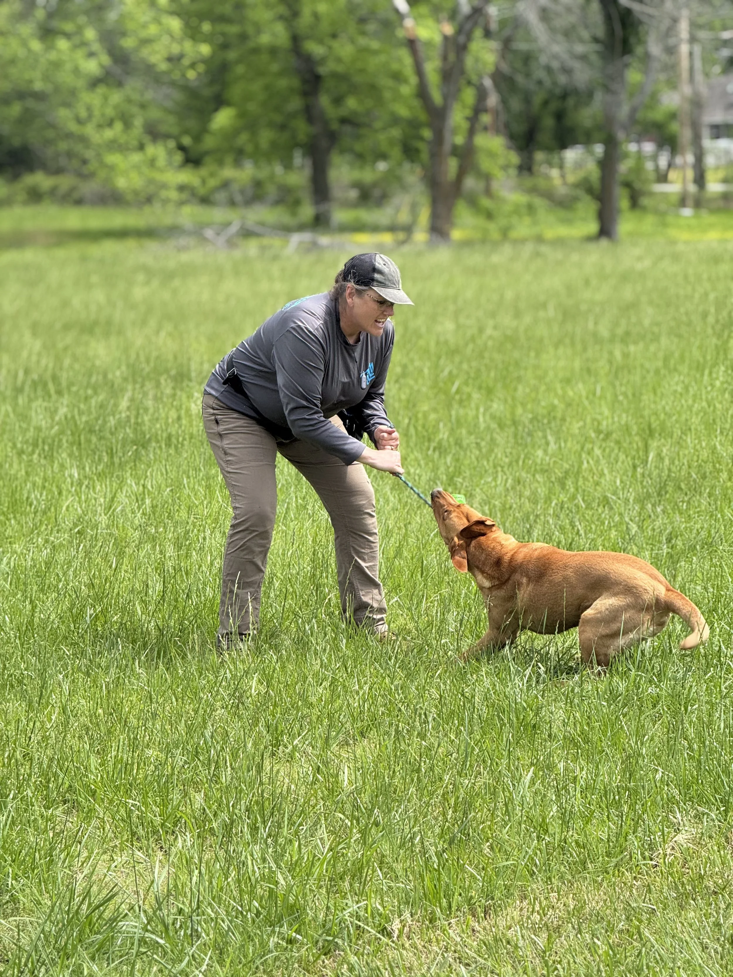 Building Value for Odor: Part 2 — Is Your Dog Getting Paid Enough?