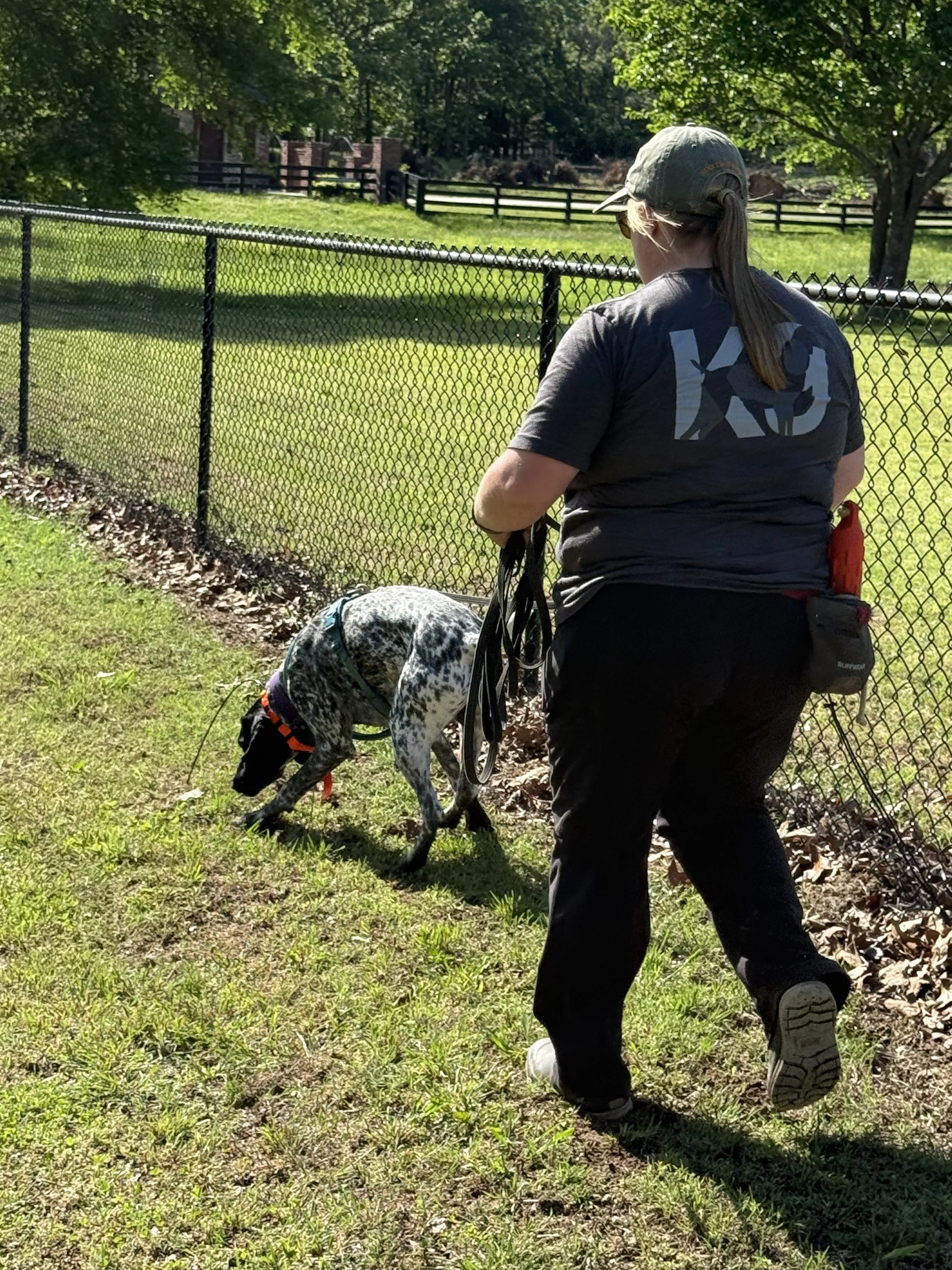 Urban Noise and Leak Investigations: Where K9 Water Leak Detection Fits