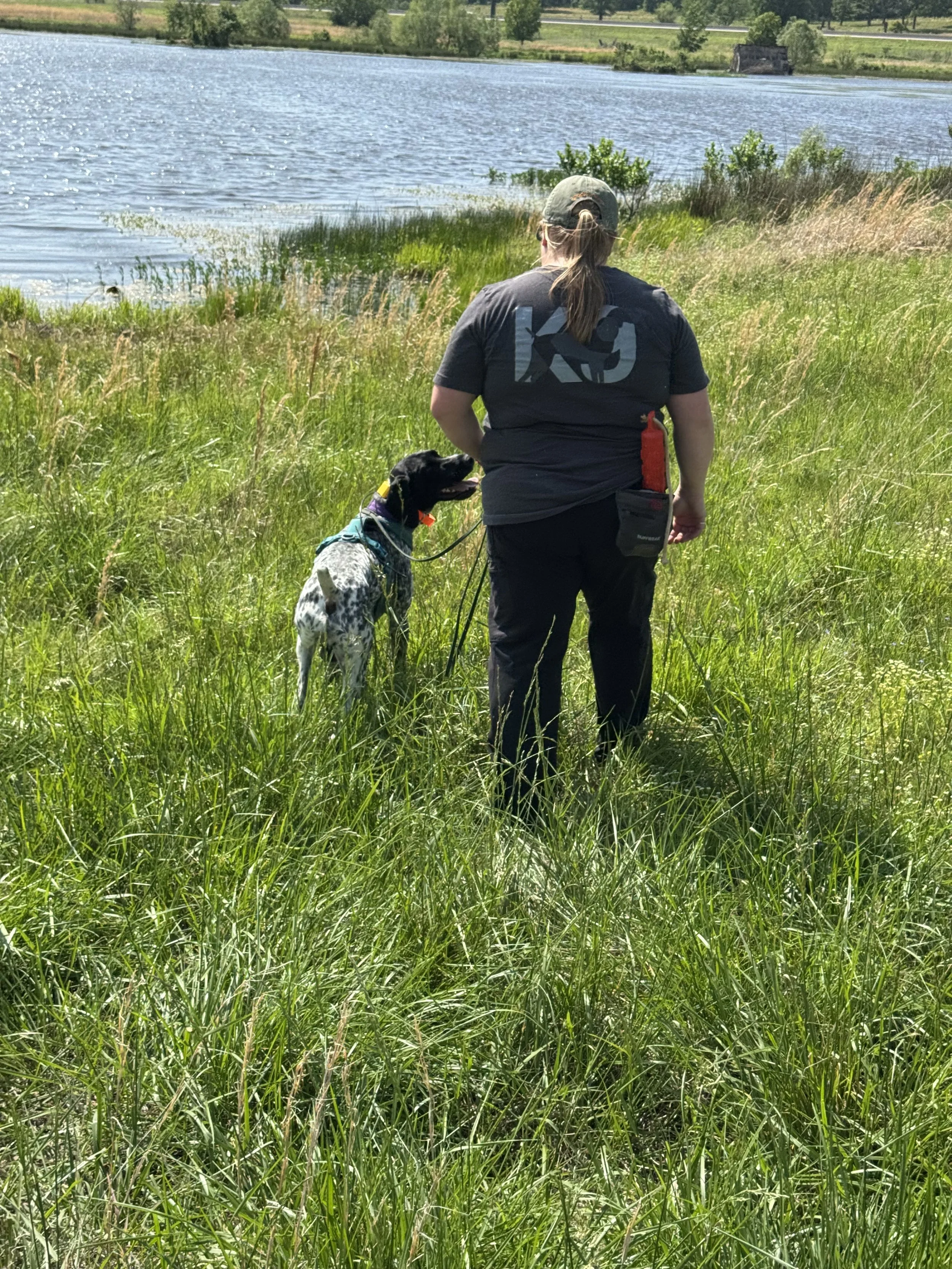 The Dog Isn’t Looking for Water: How K9 Water Leak Detection Actually Works