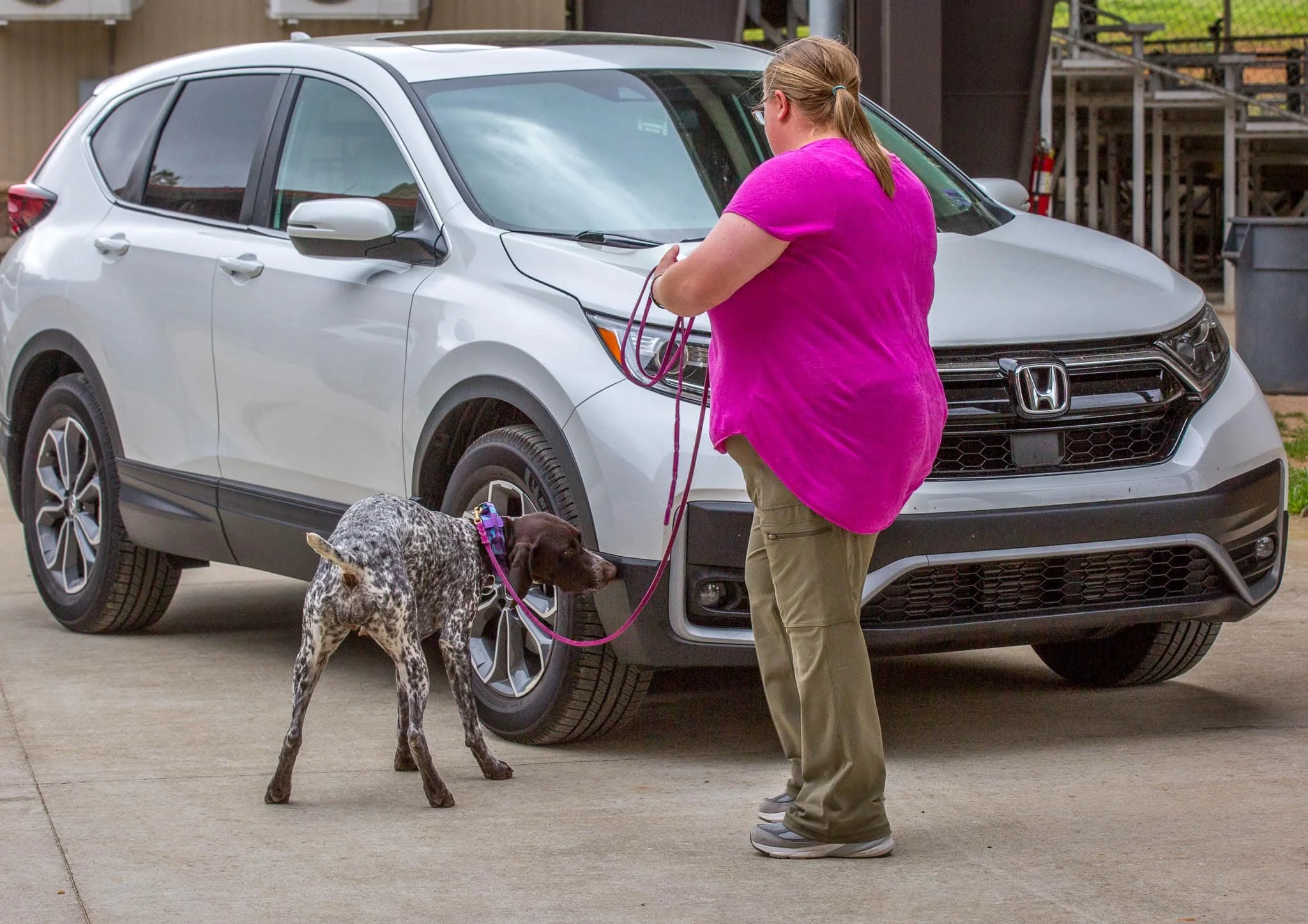 Intentional Handling: The Other End of the Leash, Part 1
