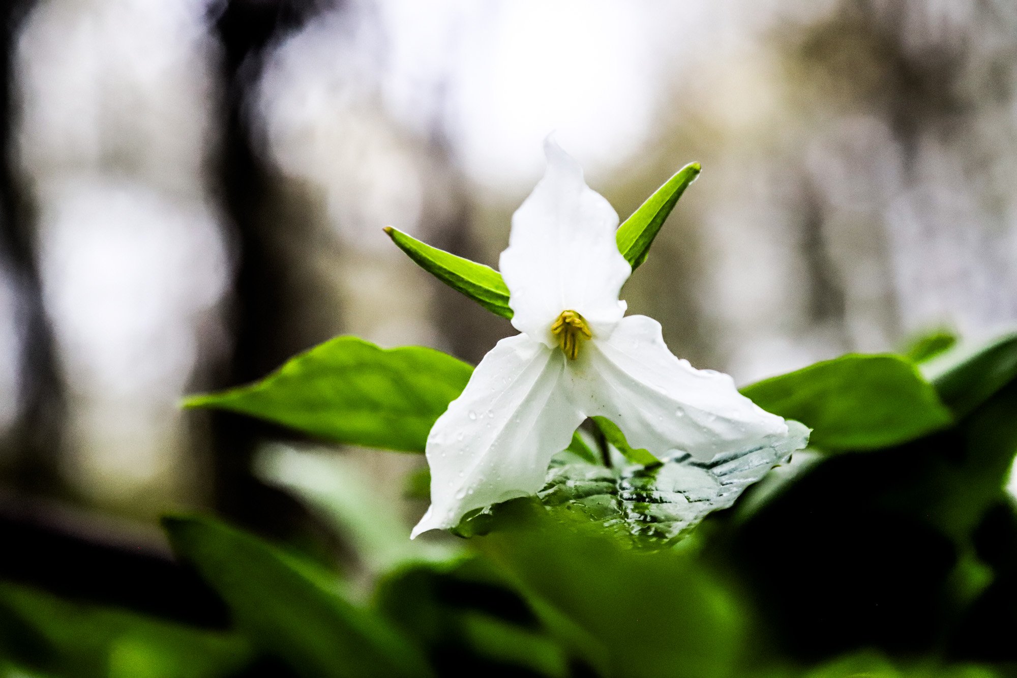 april_30_7.jpg