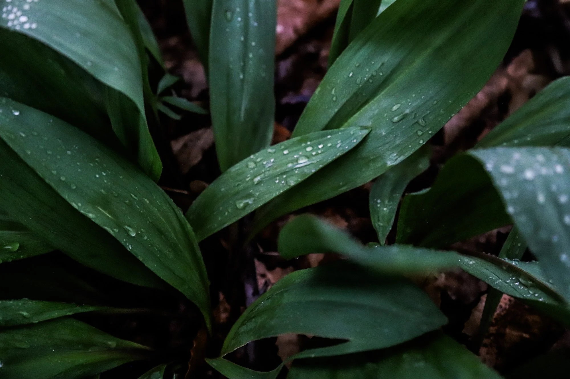 april_30_4.jpg