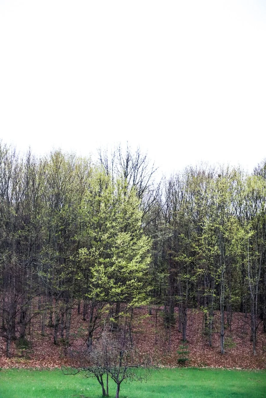 april_30_8.jpg