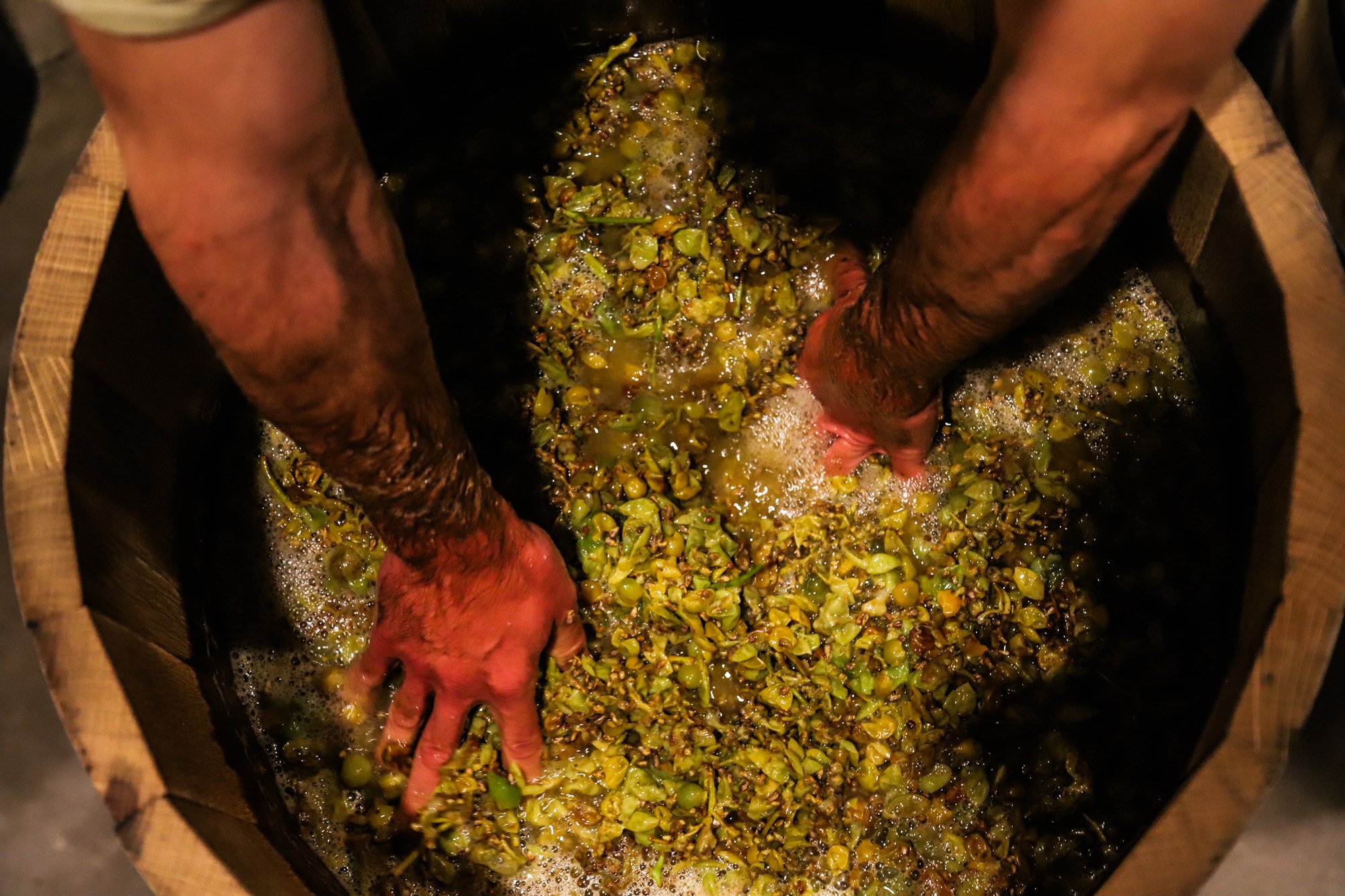 Mimmo conducting punch downs on La Crescent grapes during harvest. The grapes are fermenting in a Michigan Oak barrel.