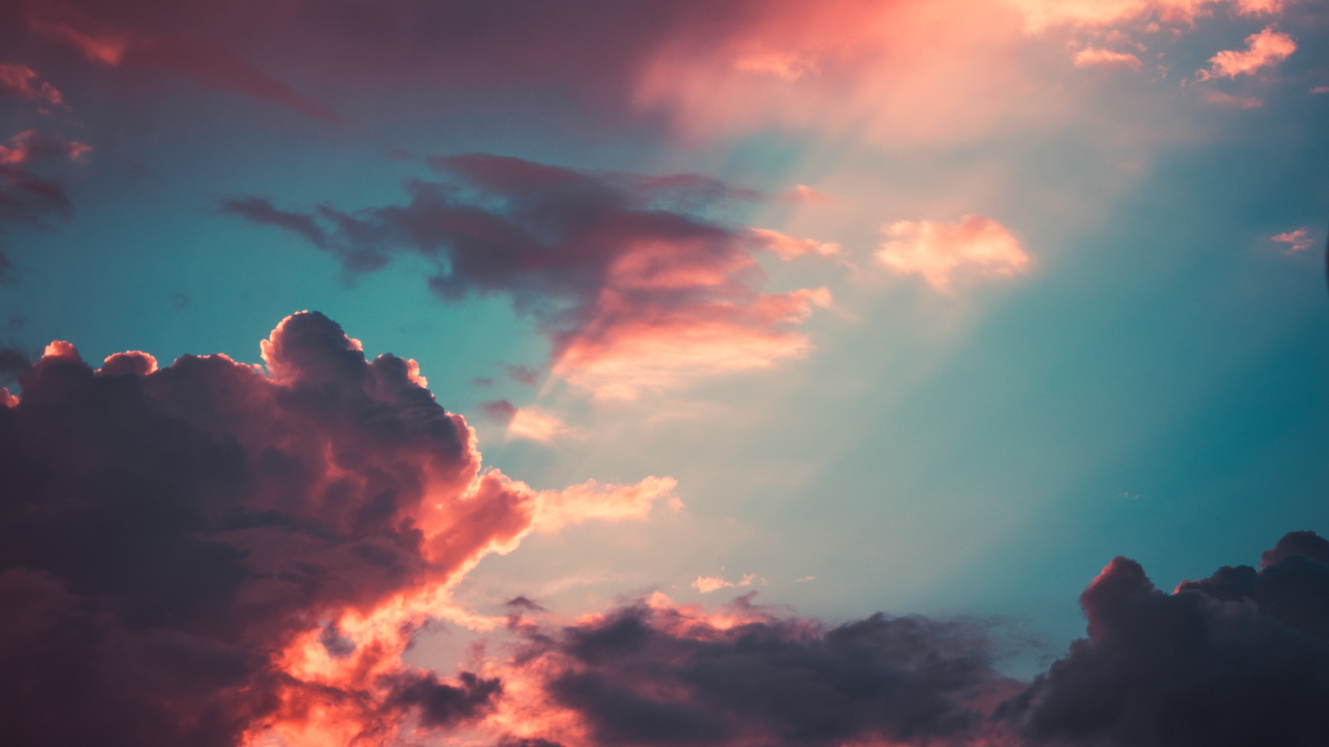 Leadership Parallels between IWD and AI