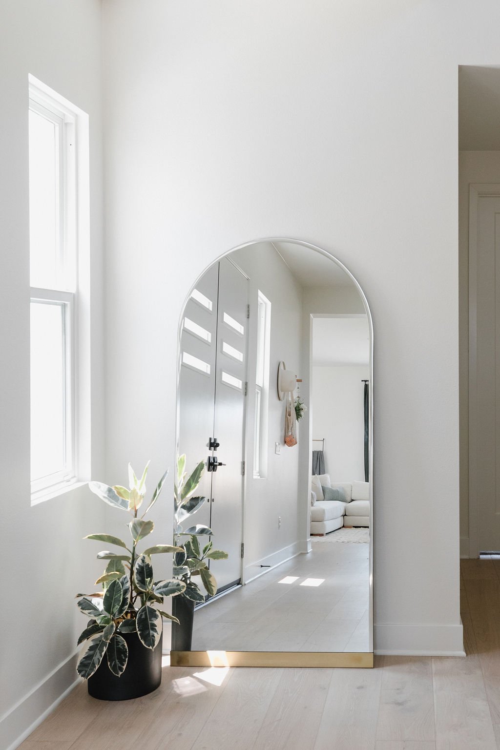 Light filled entryway with mirror and plant.