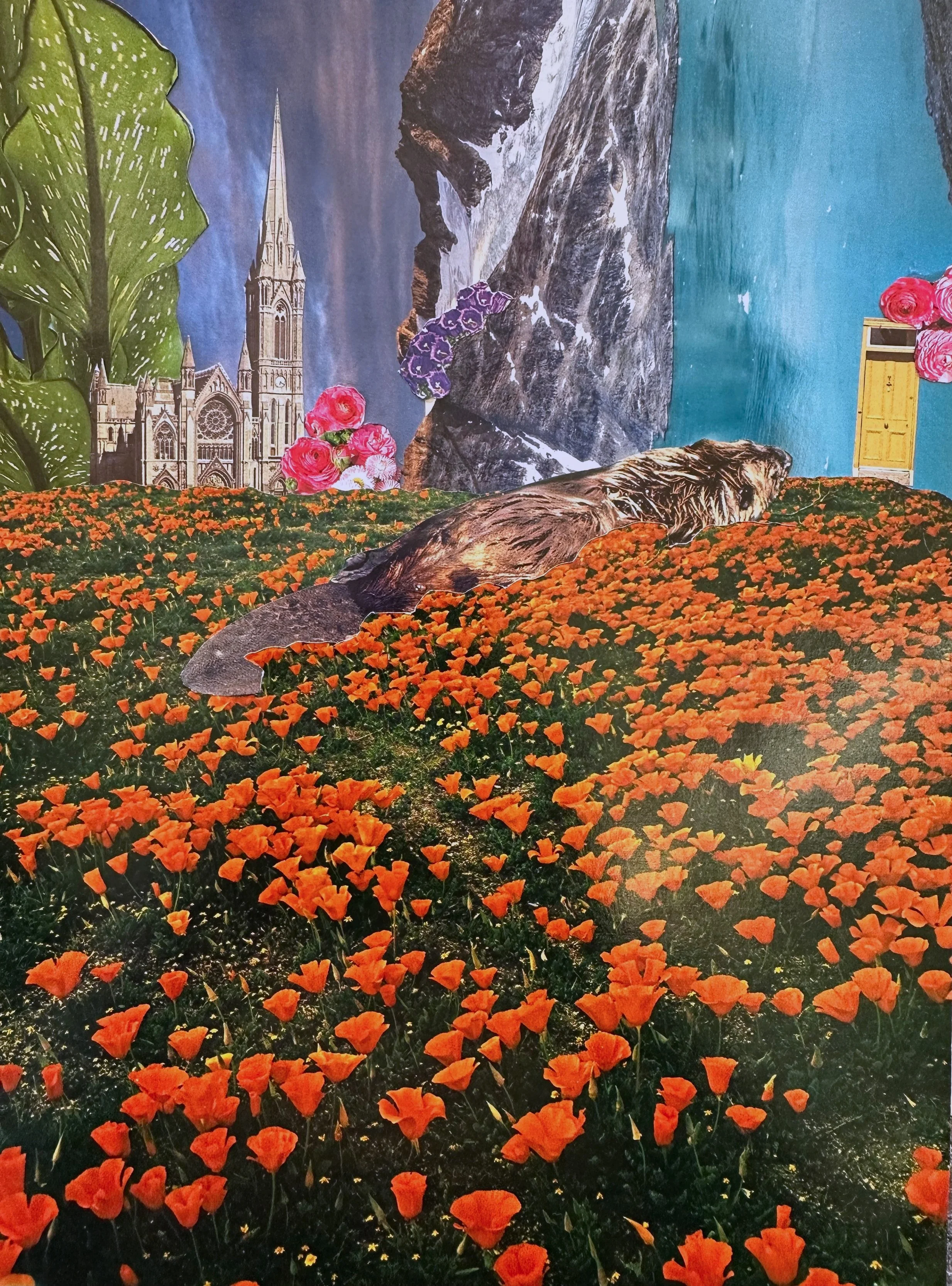 a fantastical journey