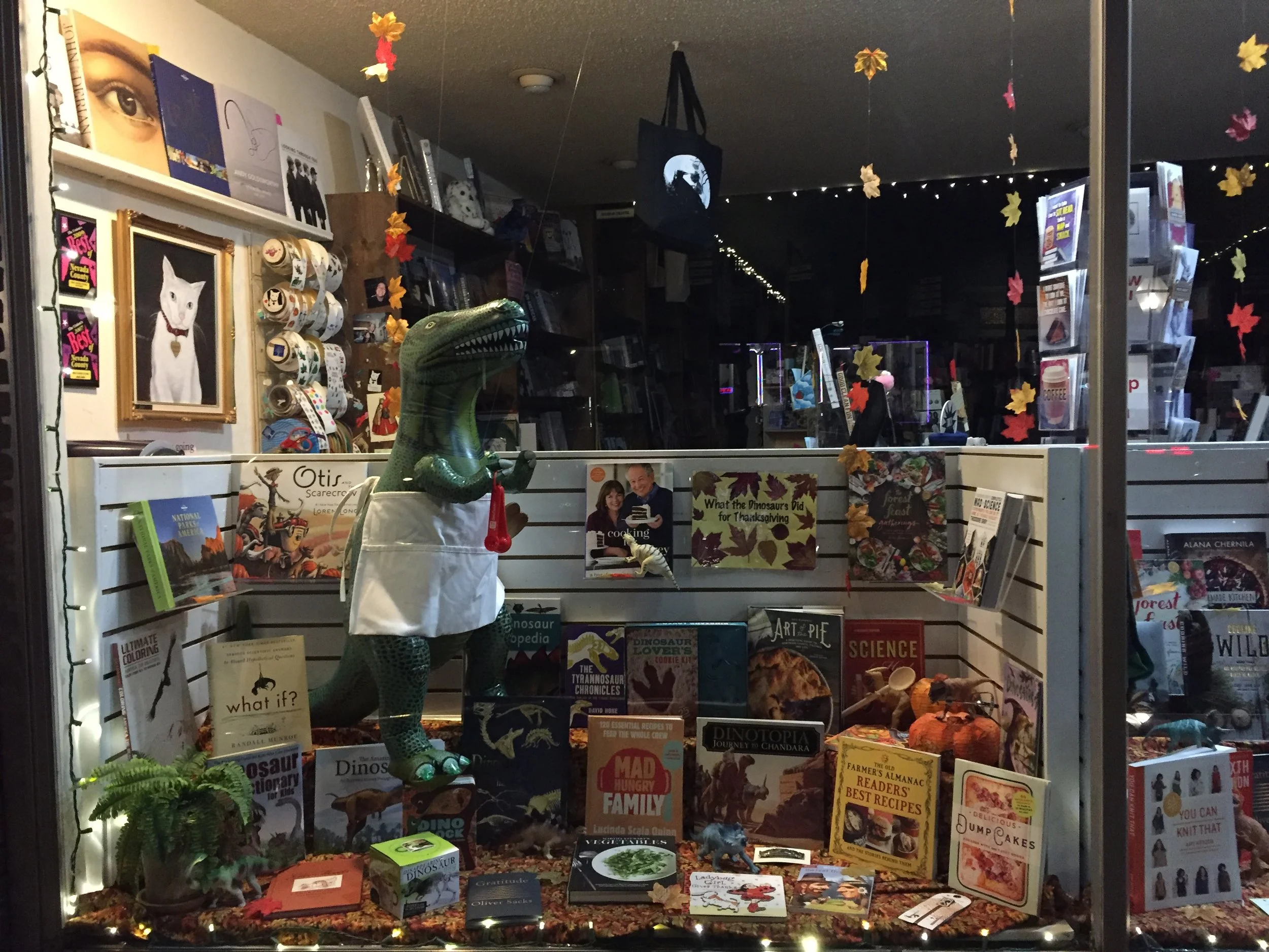 dinovember #2 part I - bookstore