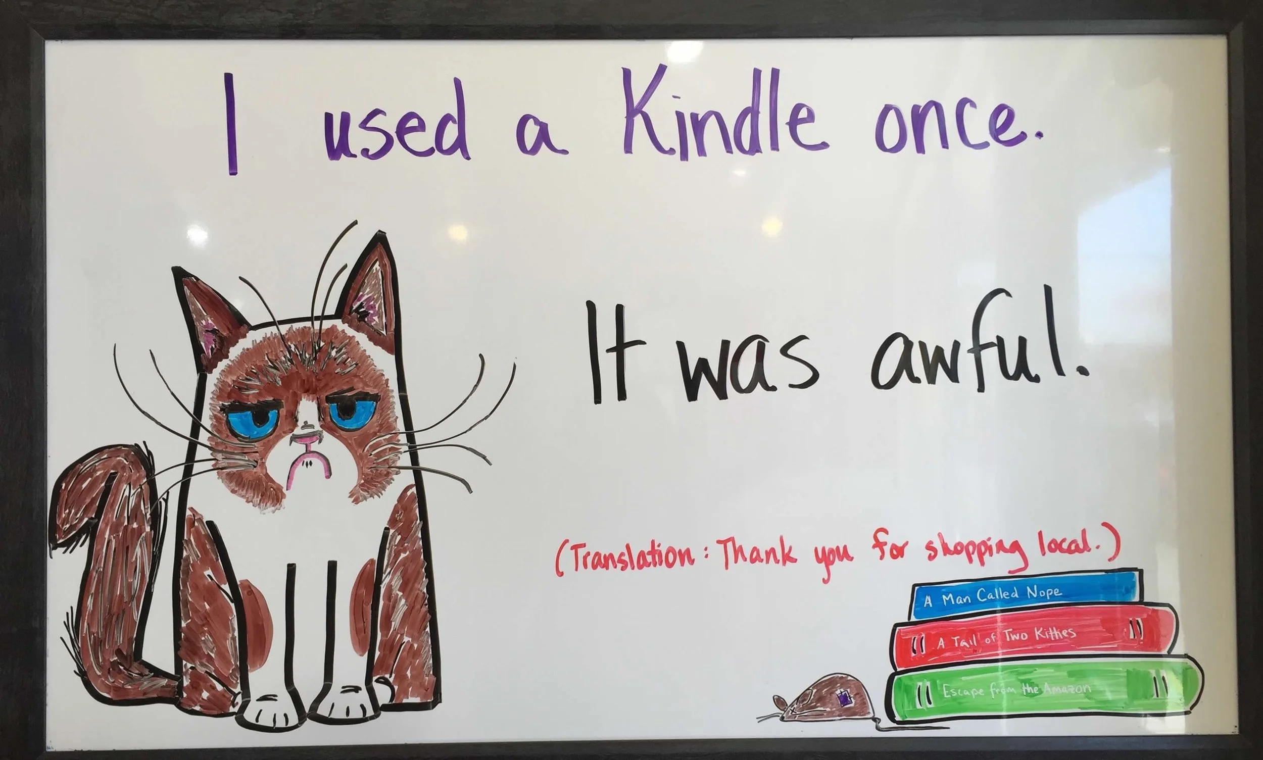 grumpy cat board - bookstore