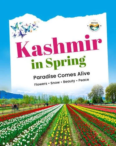The Saffron Chapters    Chapter I — Spring in Kashmir