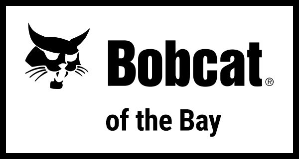 BOBCAT OF THE BAY