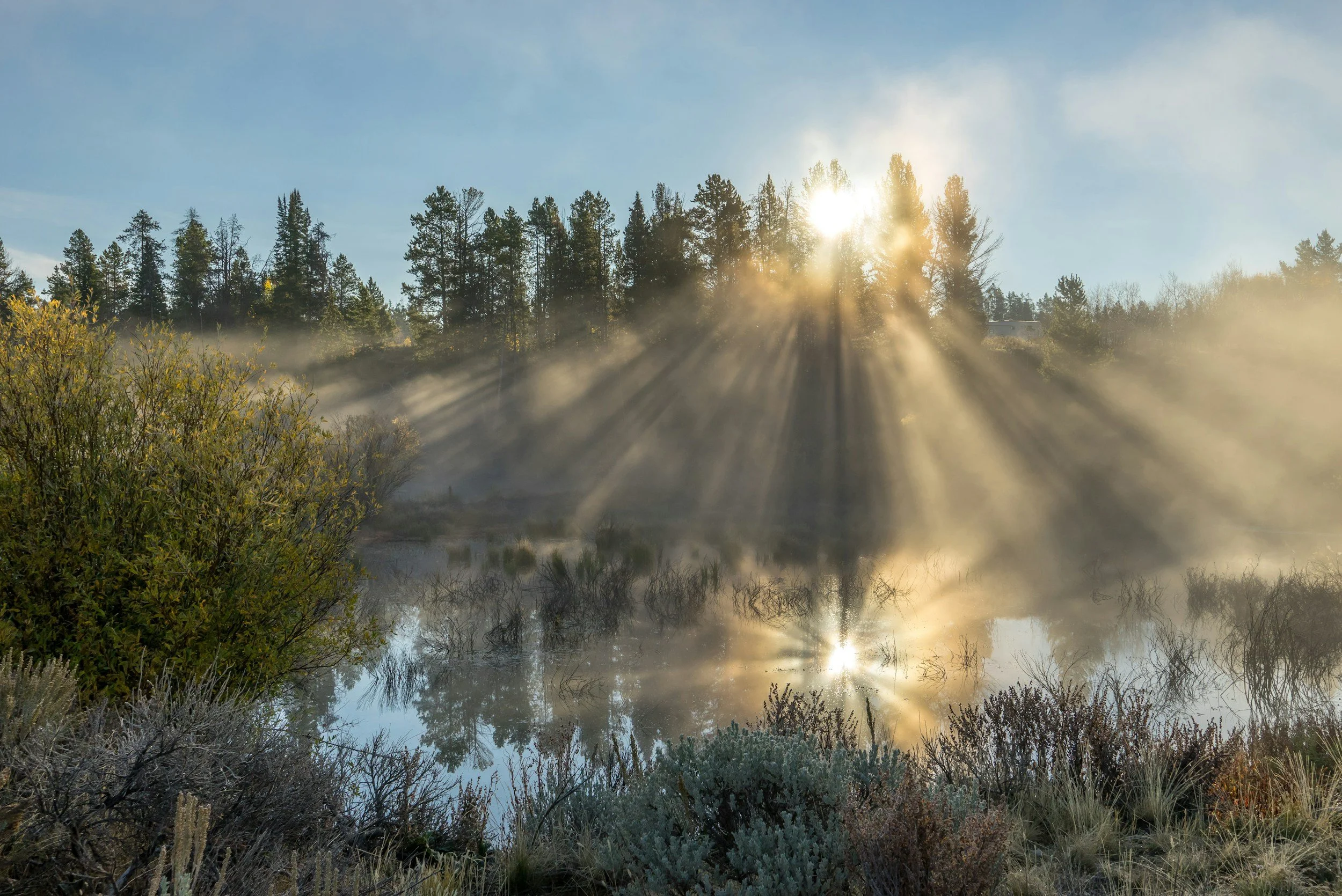 Daylight as a Performance Tool