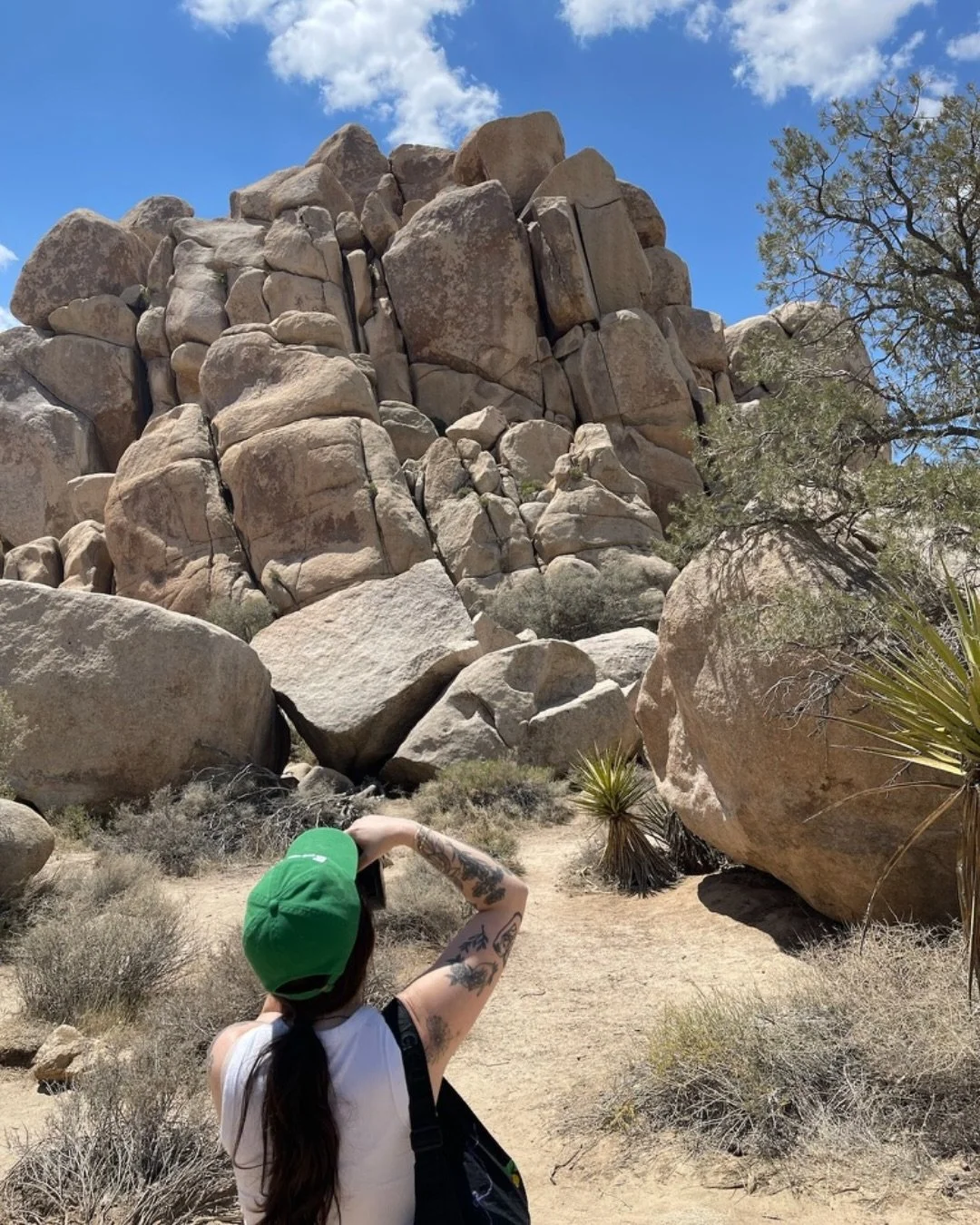 2025 was my first year become completely self employed. I went to Palm Springs + Joshua Tree (bucket list), Woodstock, and beauteous Connecticut. I watched my besties get married. Tom and I got engaged 🤪 and I photographed some of my favorite bands 