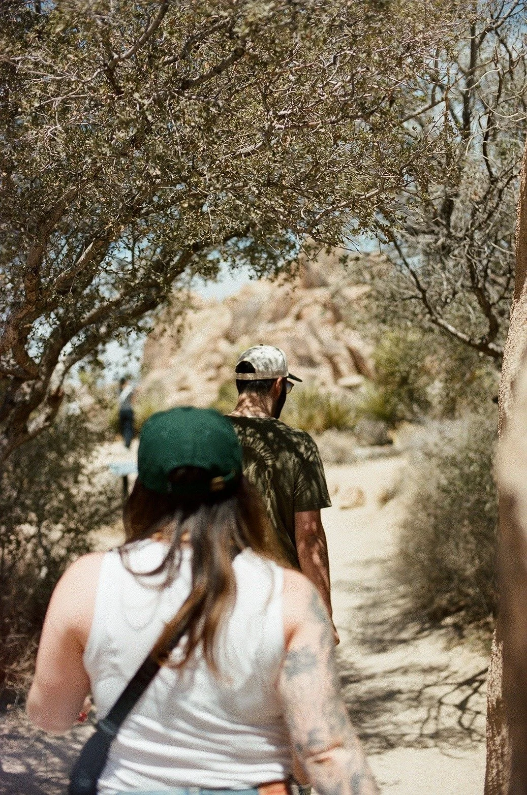 Point of view taken from behind two people walking a trail in palm springs, california.