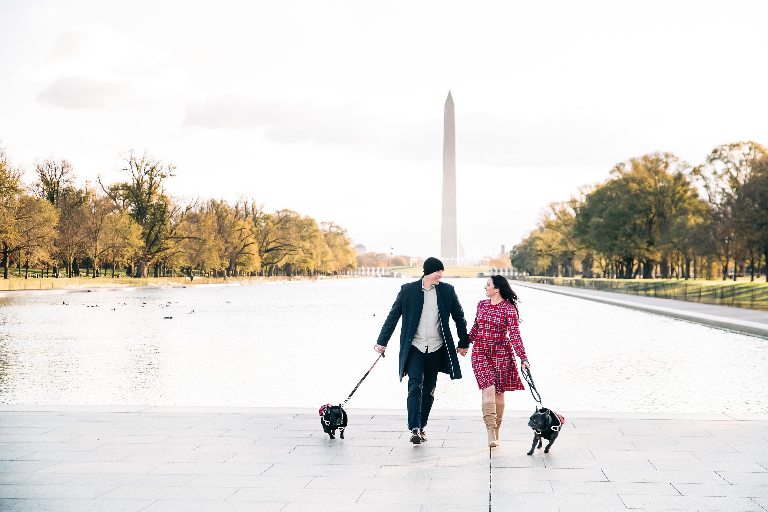  national mall family photo with dogs 