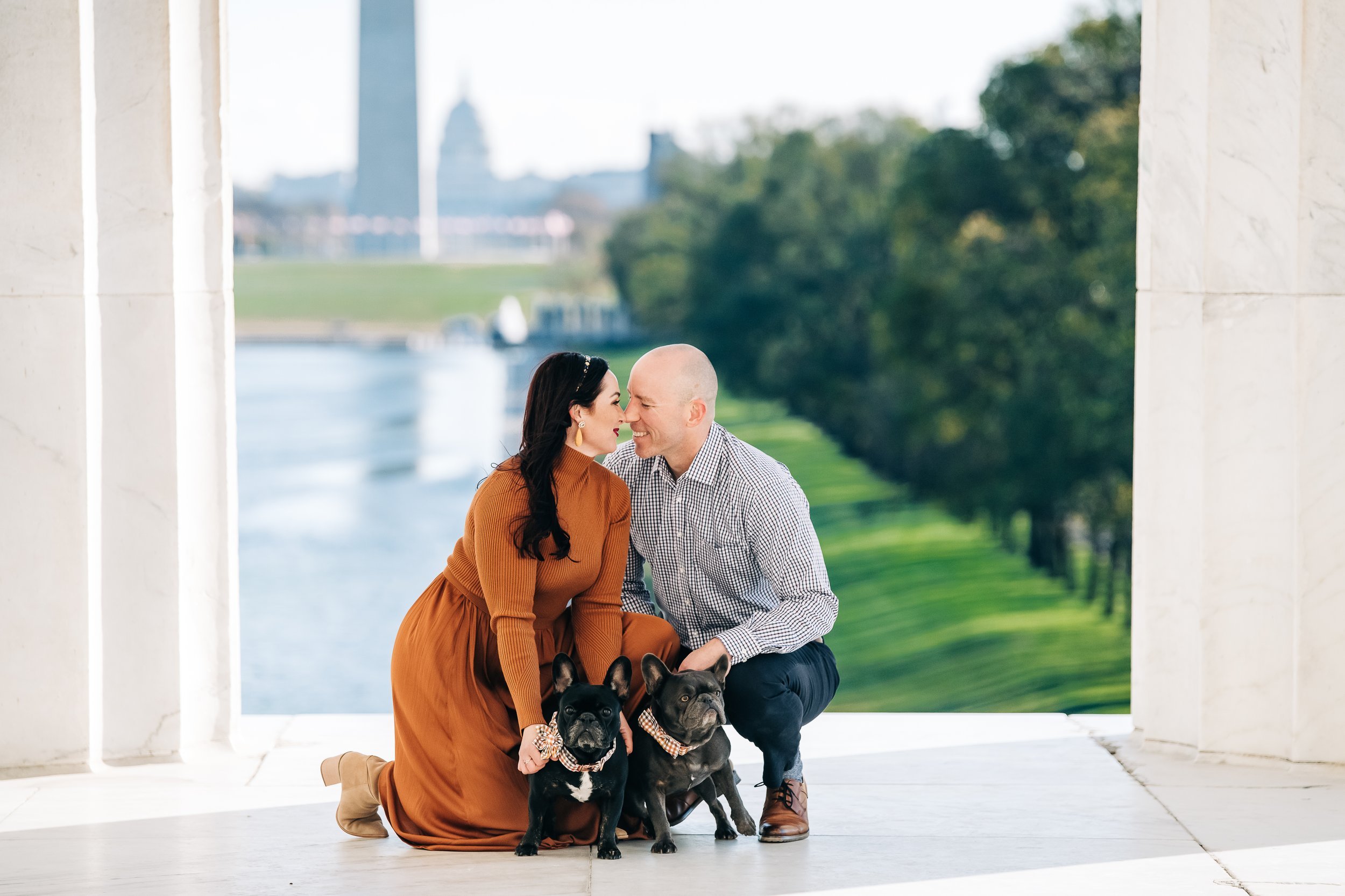  national mall family photo with dogs 