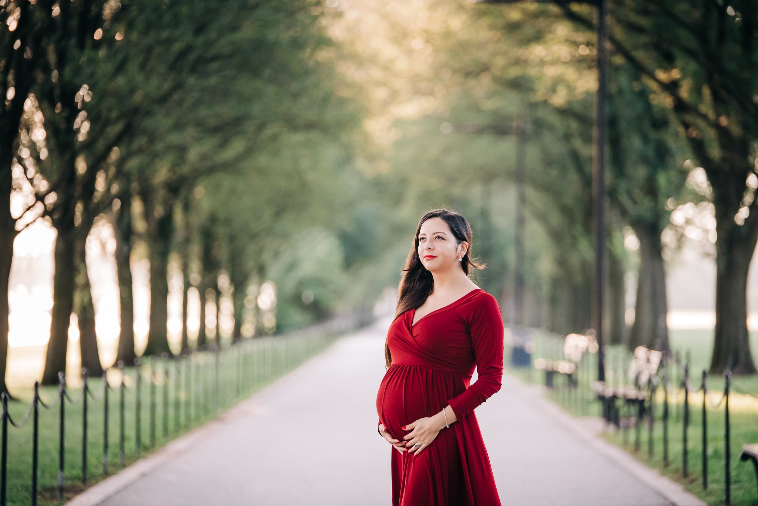  maternity session at the national mall 