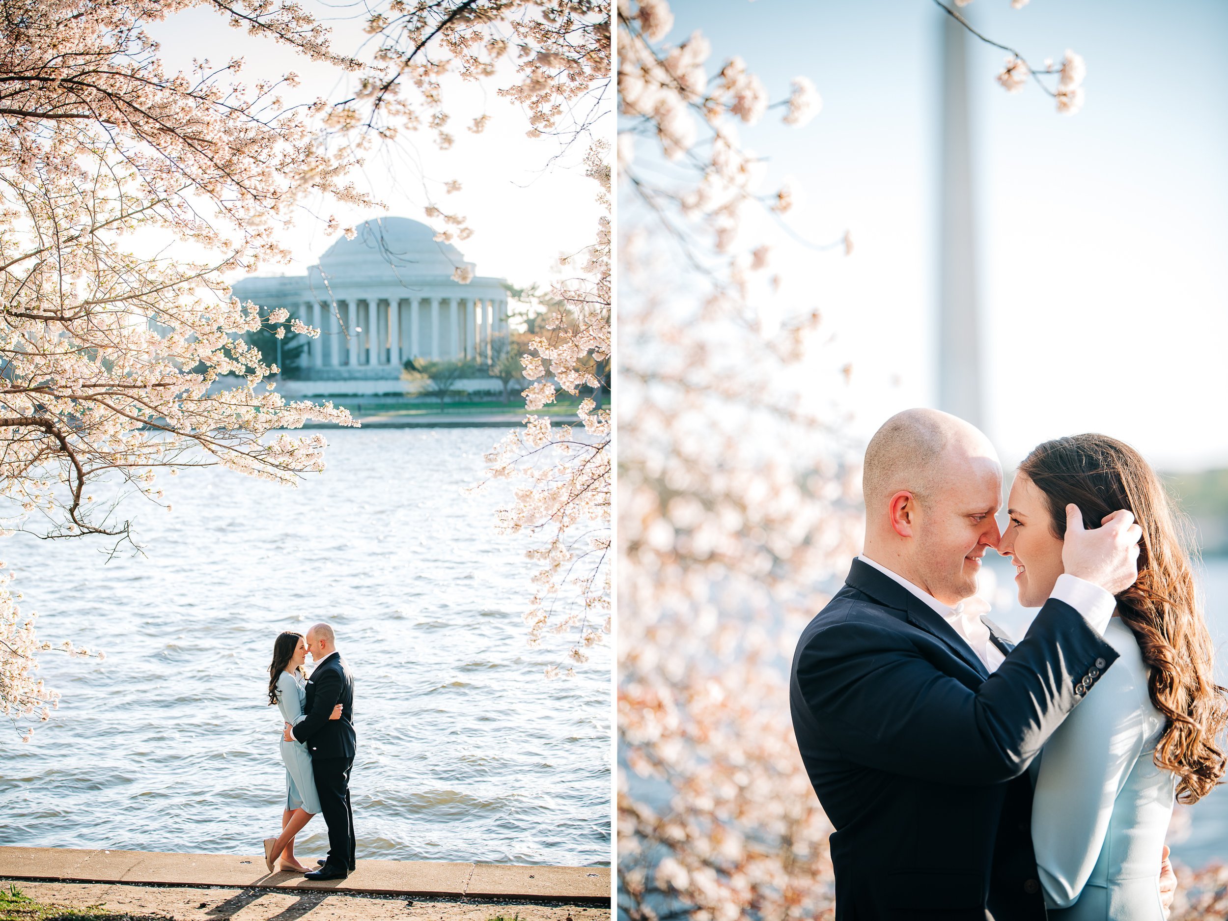 couplecherryblossomdc8.jpg