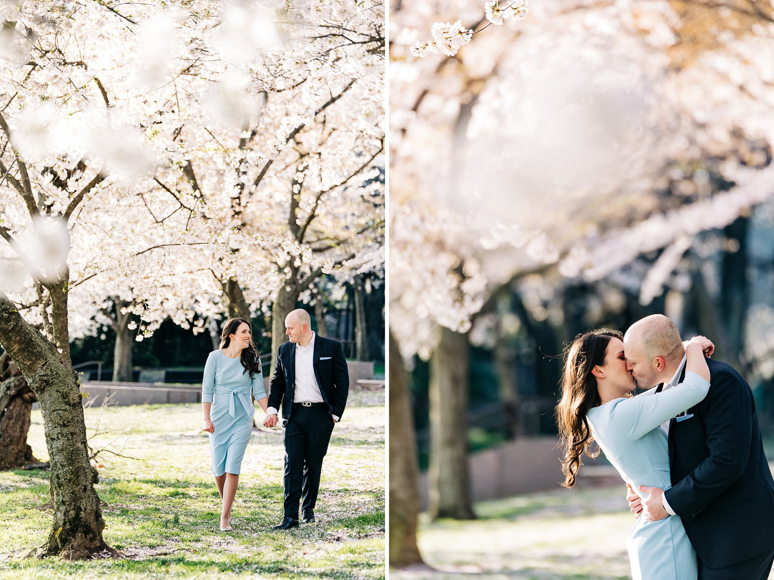 couplecherryblossomdc11.jpg