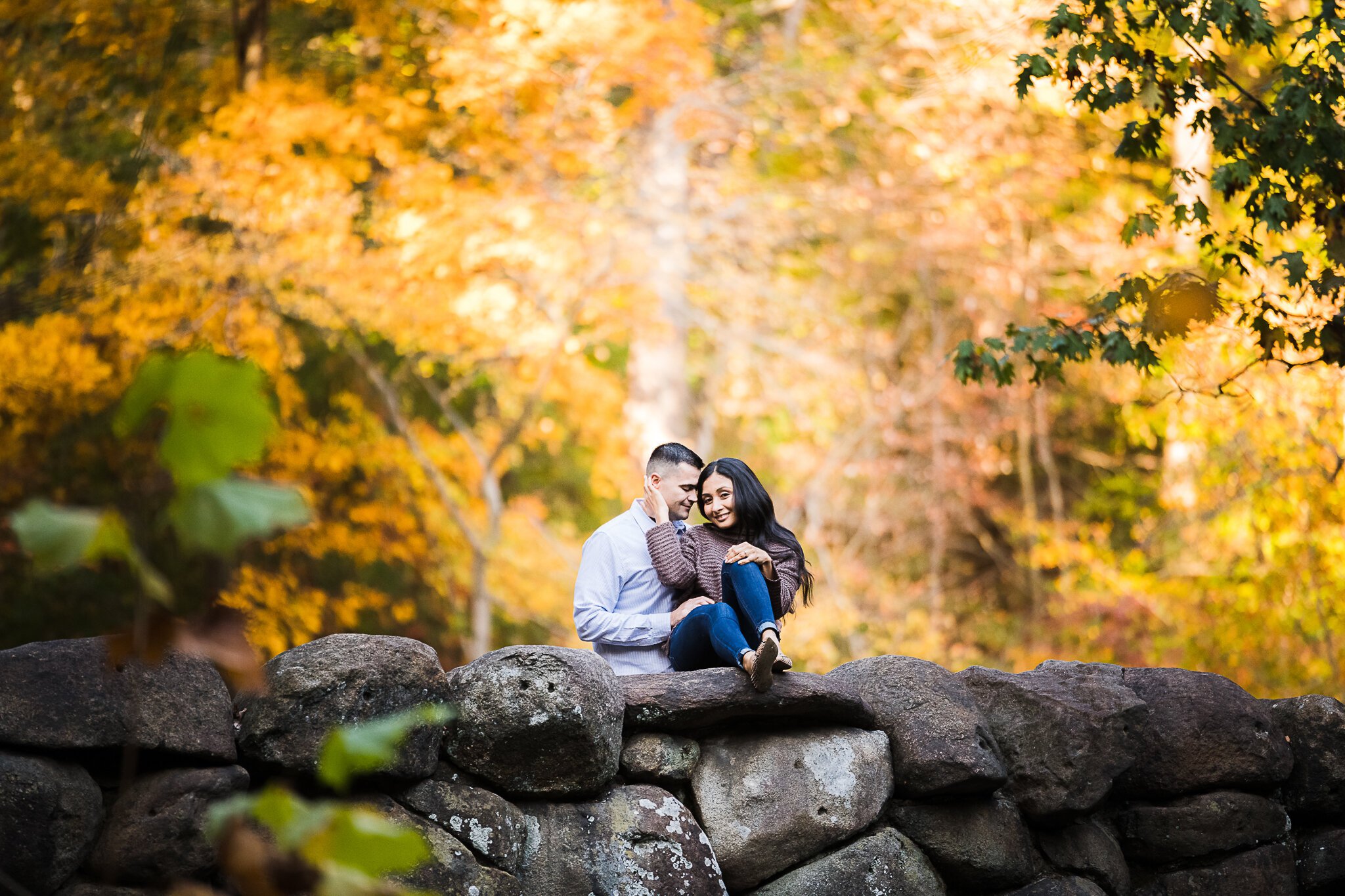 Fall engagement photos in Washington DC