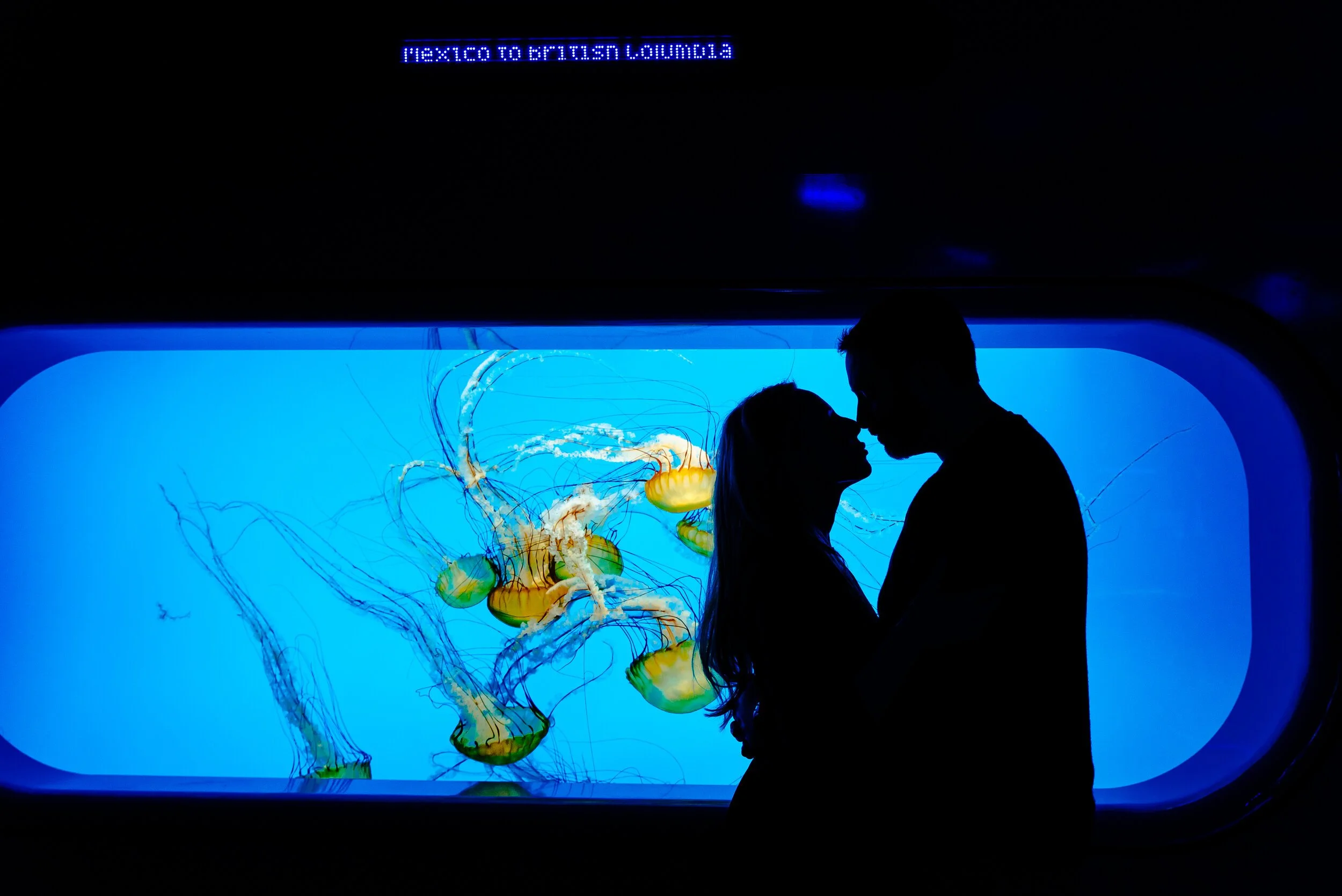 National Aquarium Photography