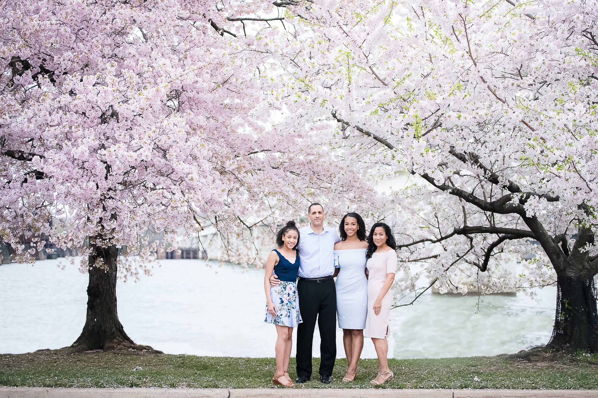 Cherry blossom family photographer in Washington DC