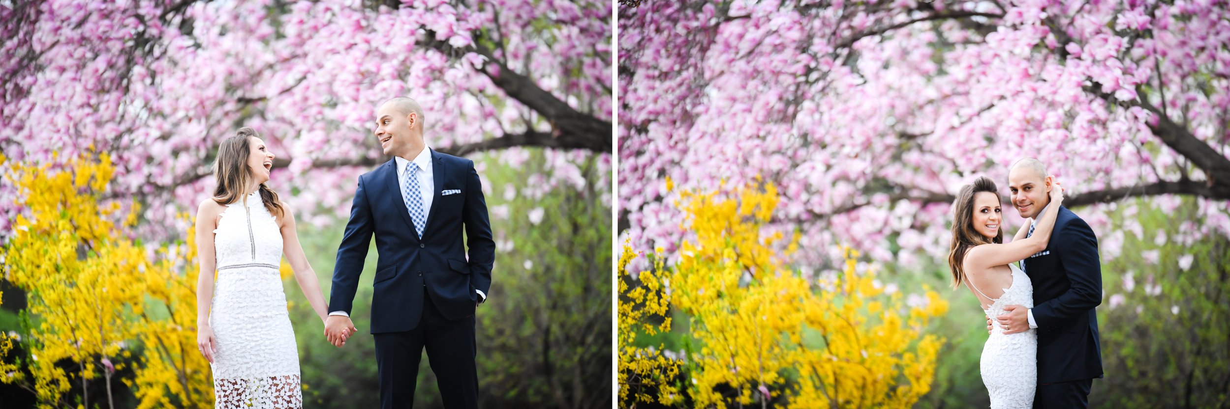 Cherry blossom photographer in Washington DC