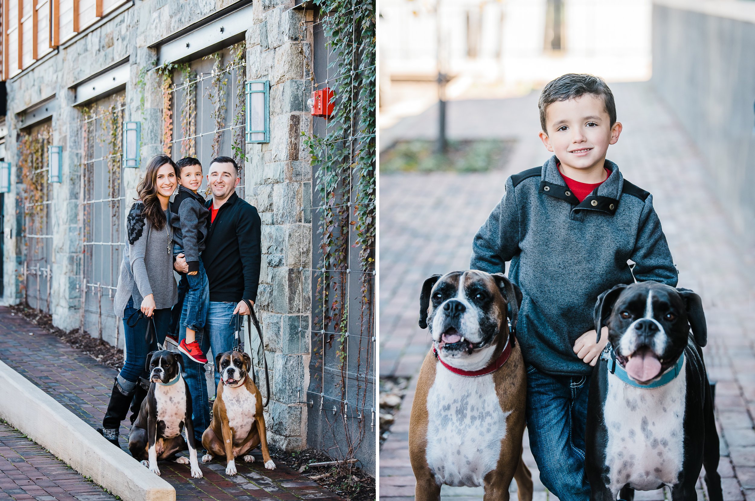 Alexandria VA Family Photography