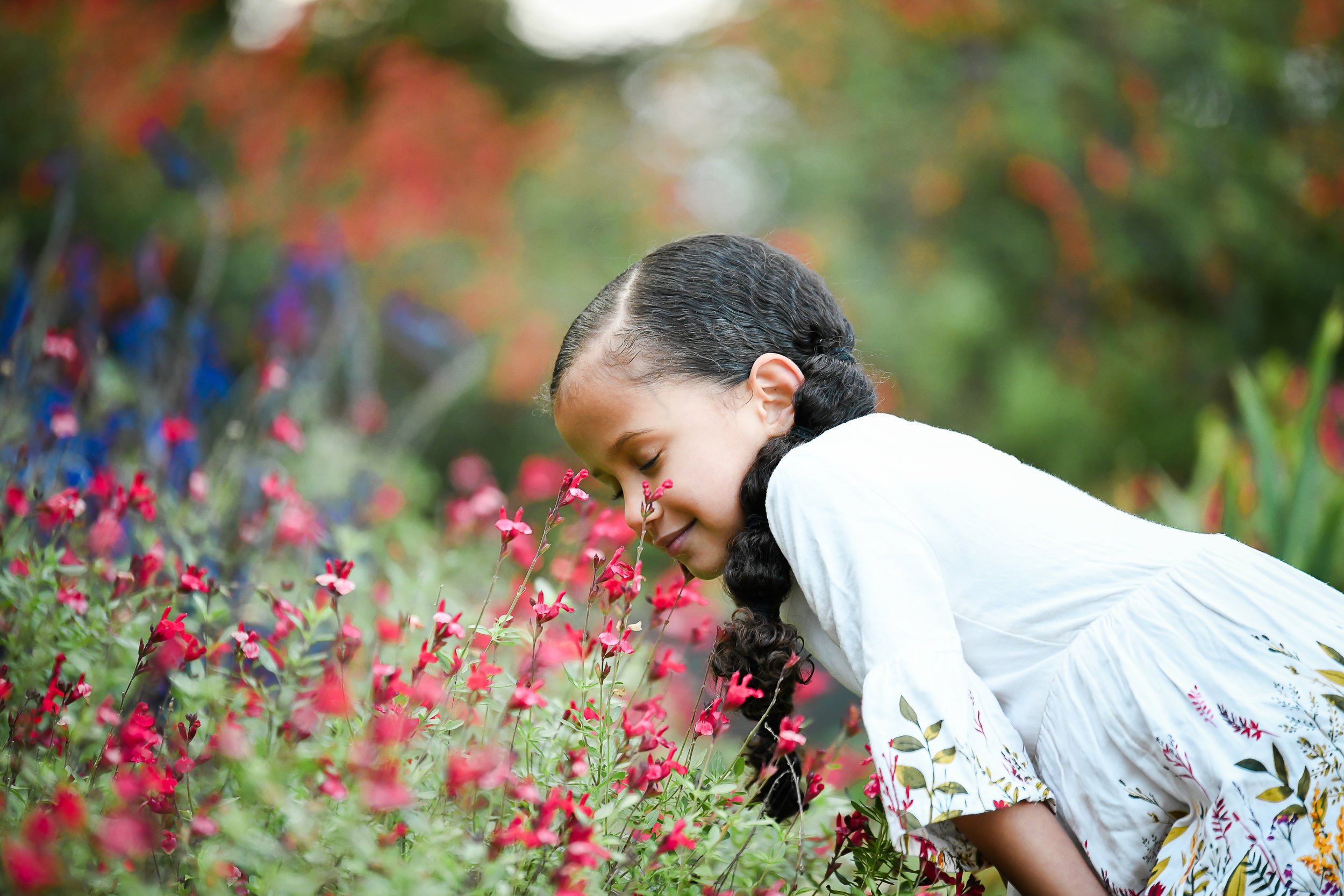 Brookside Gardens family photographer Washington dc