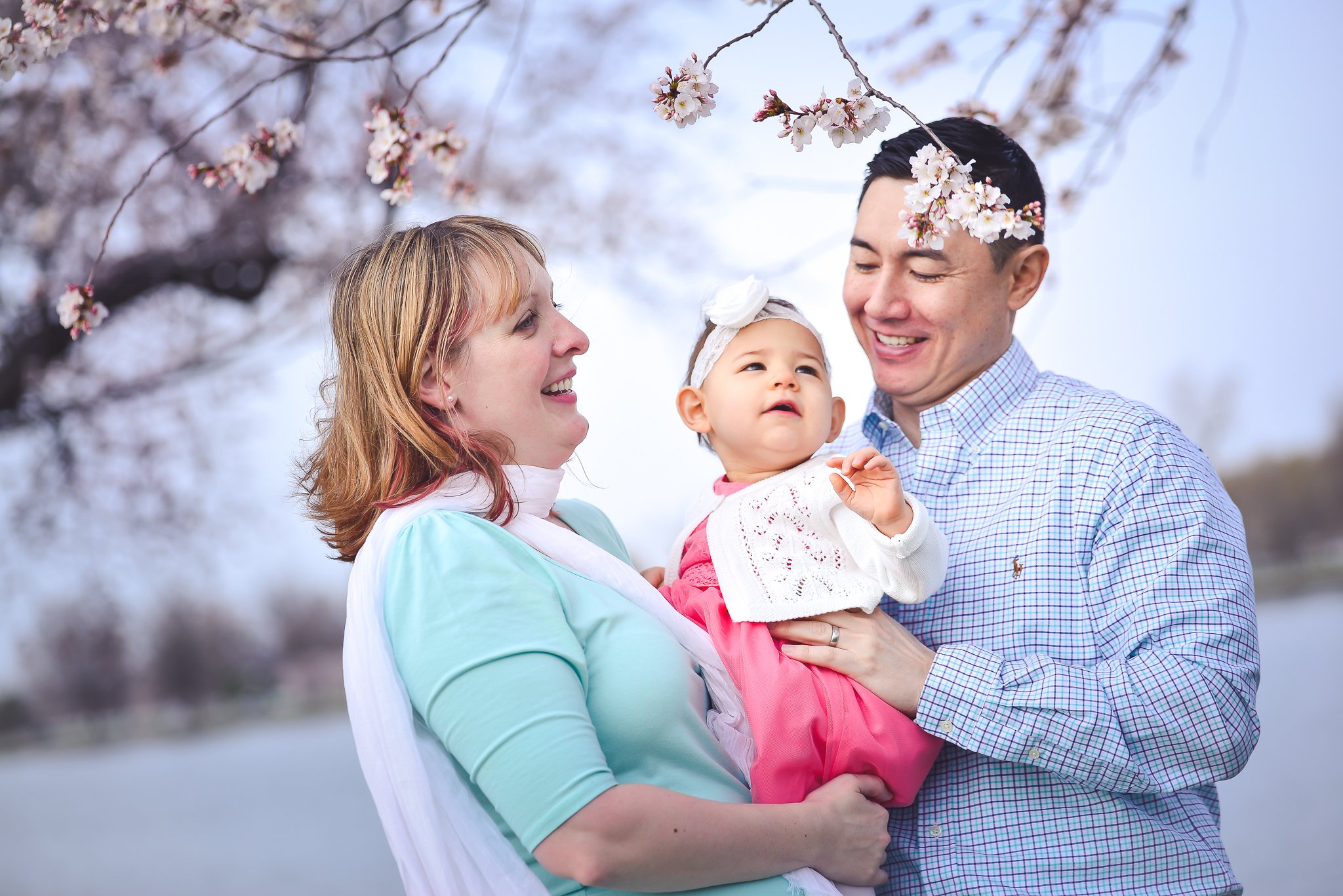 Family photo session - cherry blossom season in Washington DC - DC MD VA Family Photographer