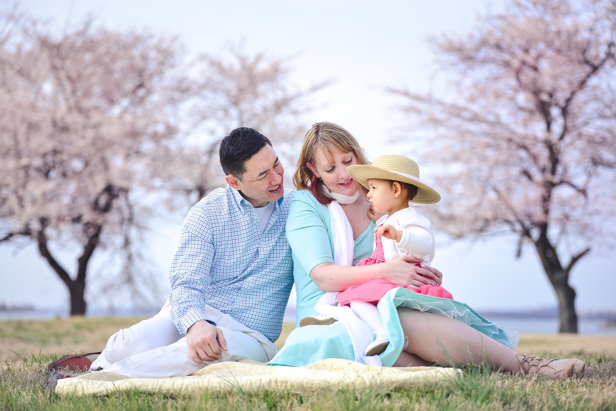 Family photo session - cherry blossom season in Washington DC - DC MD VA Family Photographer