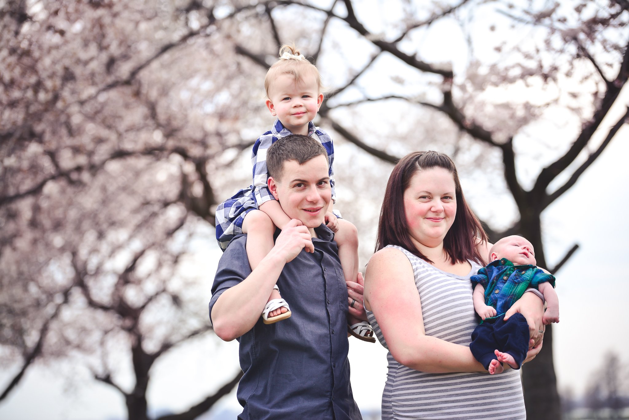 Cherry Blossom Family Photos D.C. by D'Corzo Photography