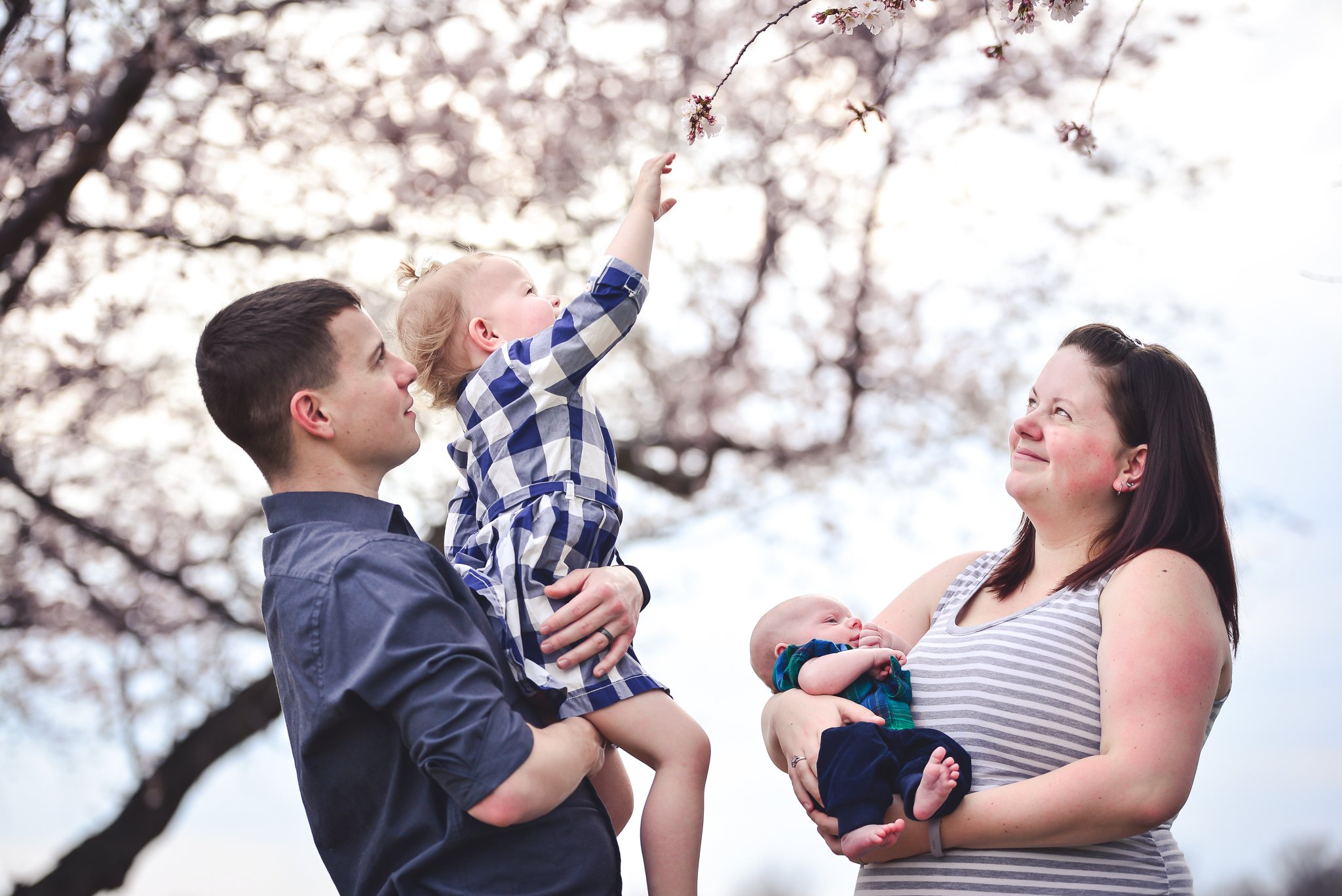 Cherry Blossom Family Photos D.C. by D'Corzo Photography