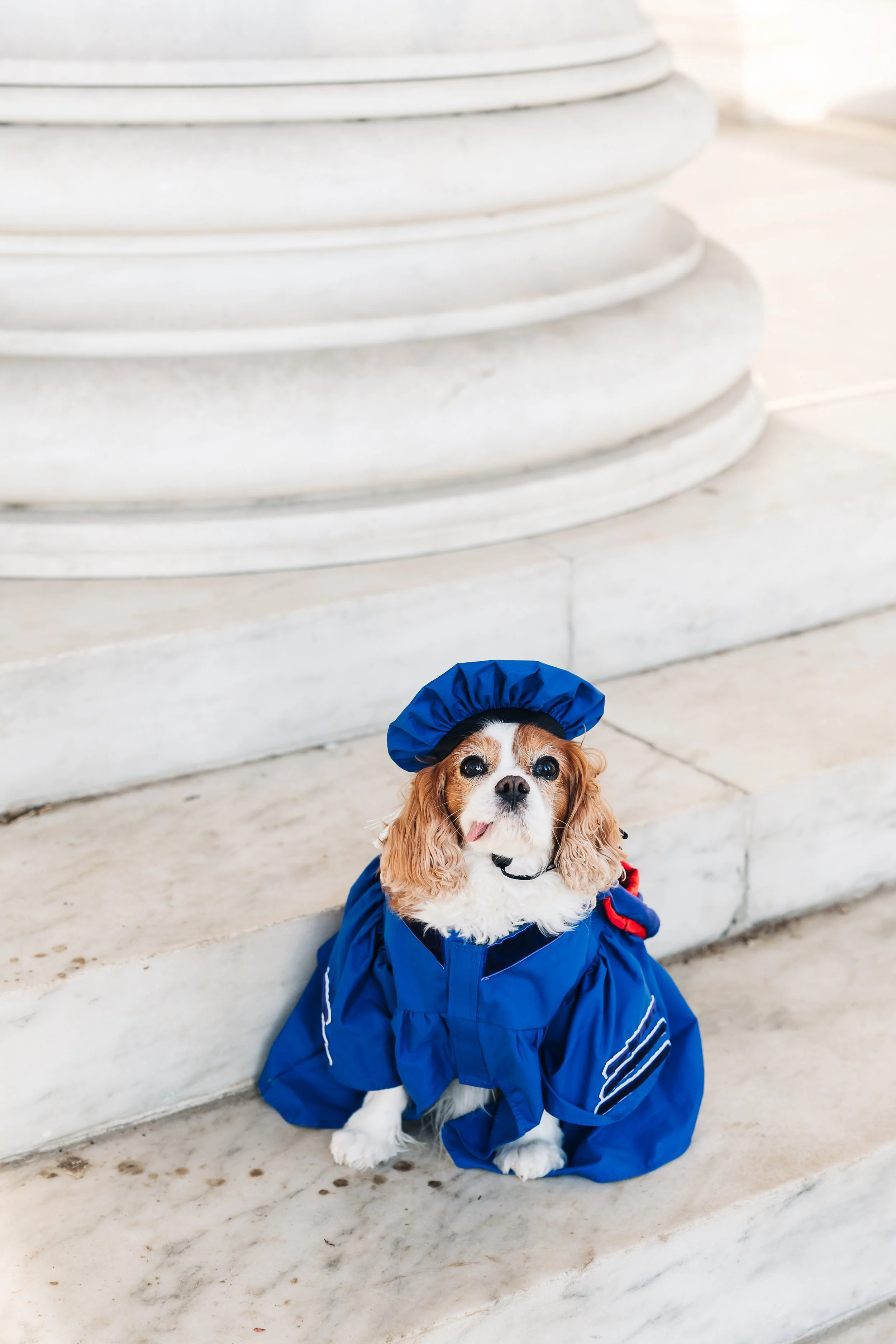 Jefferson Memorial Graduation Photos in Spring7.JPG