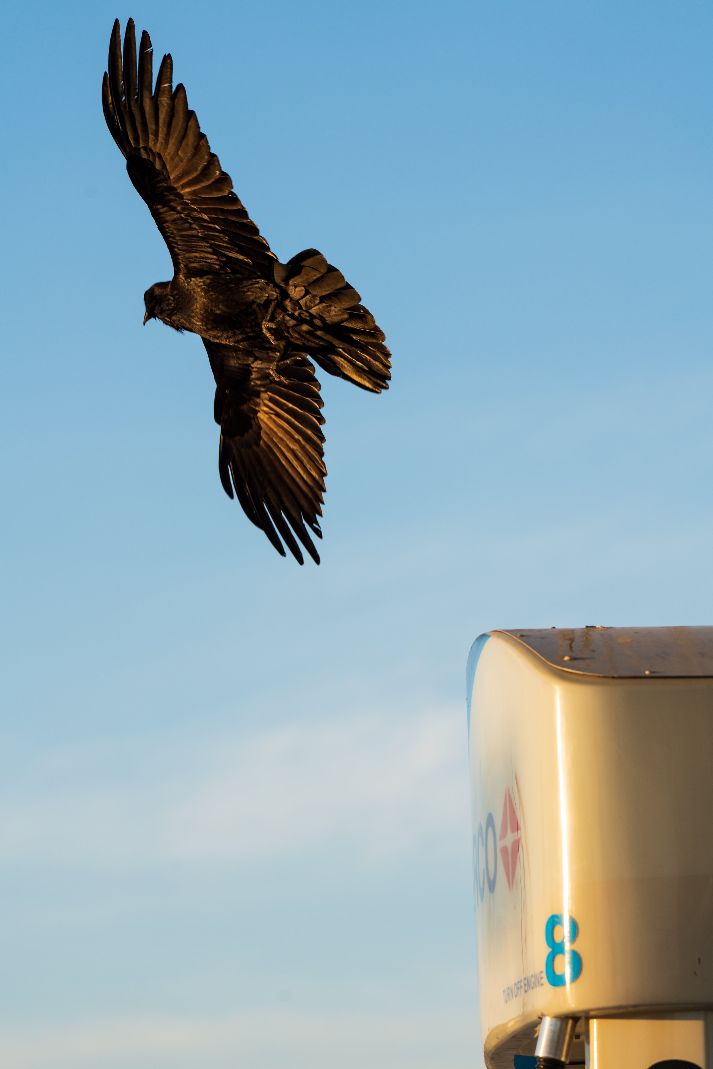 _DSC9402.jpeg