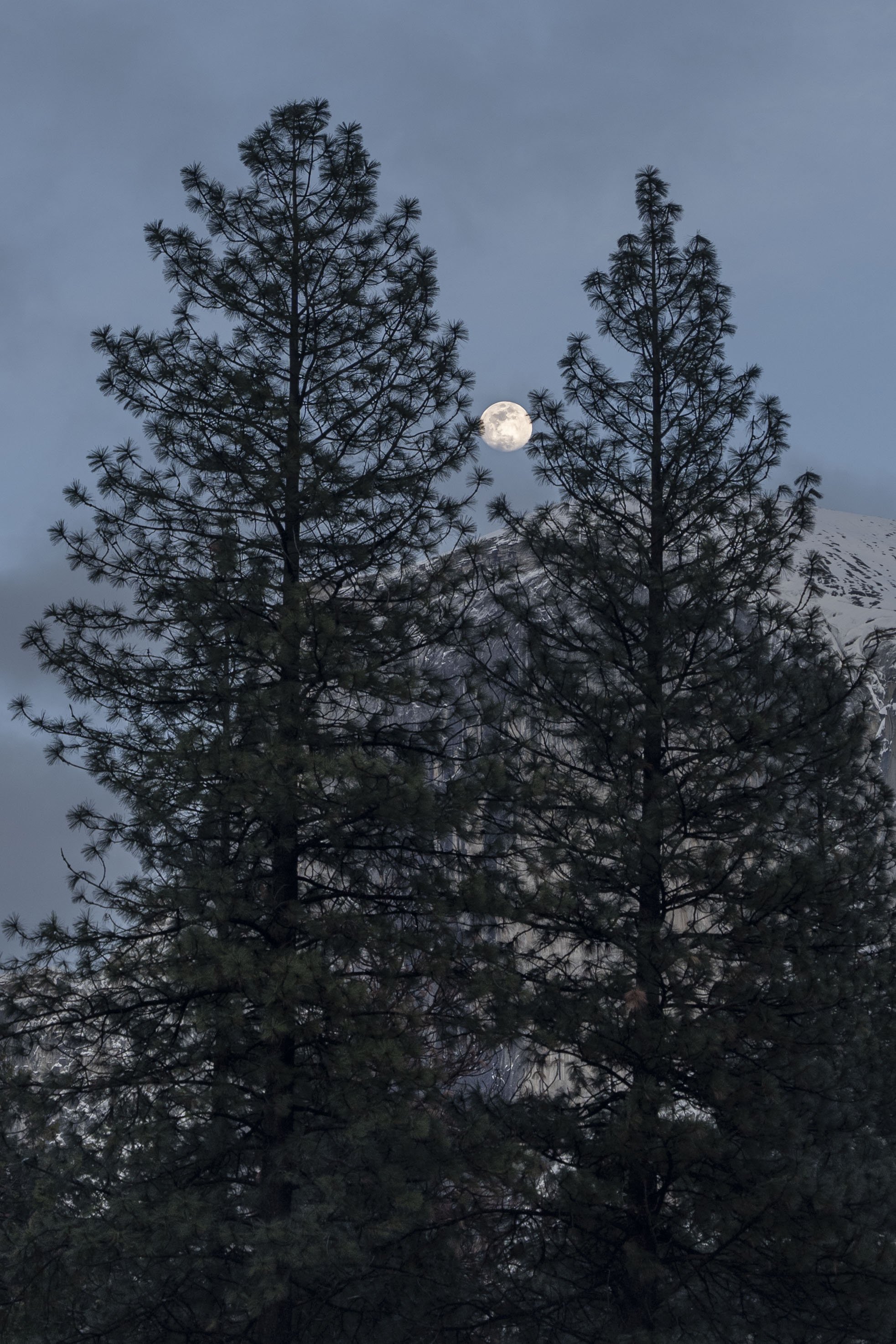 yosemite moon 3.jpeg