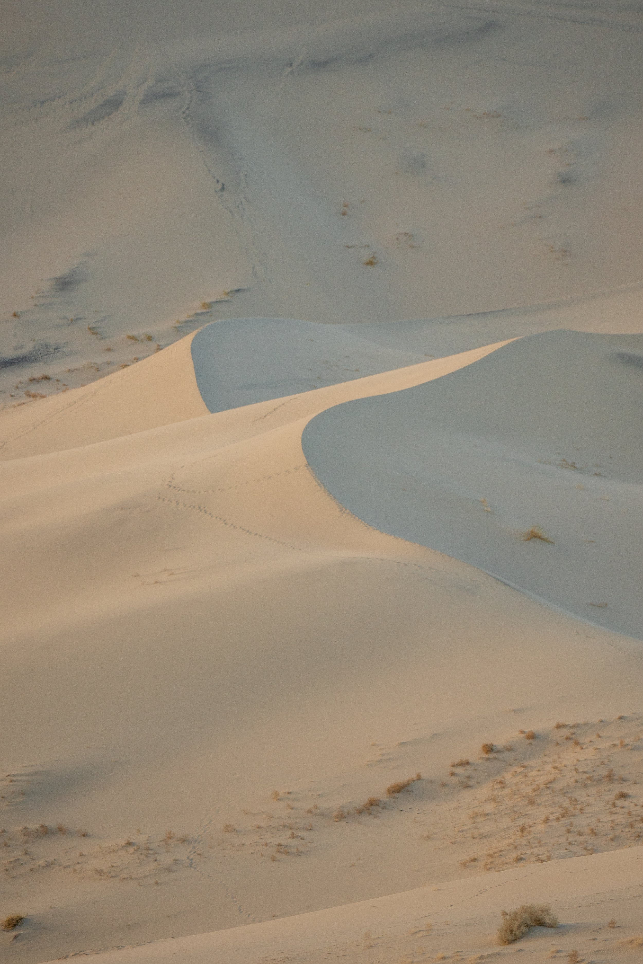 _DSC9345.jpeg